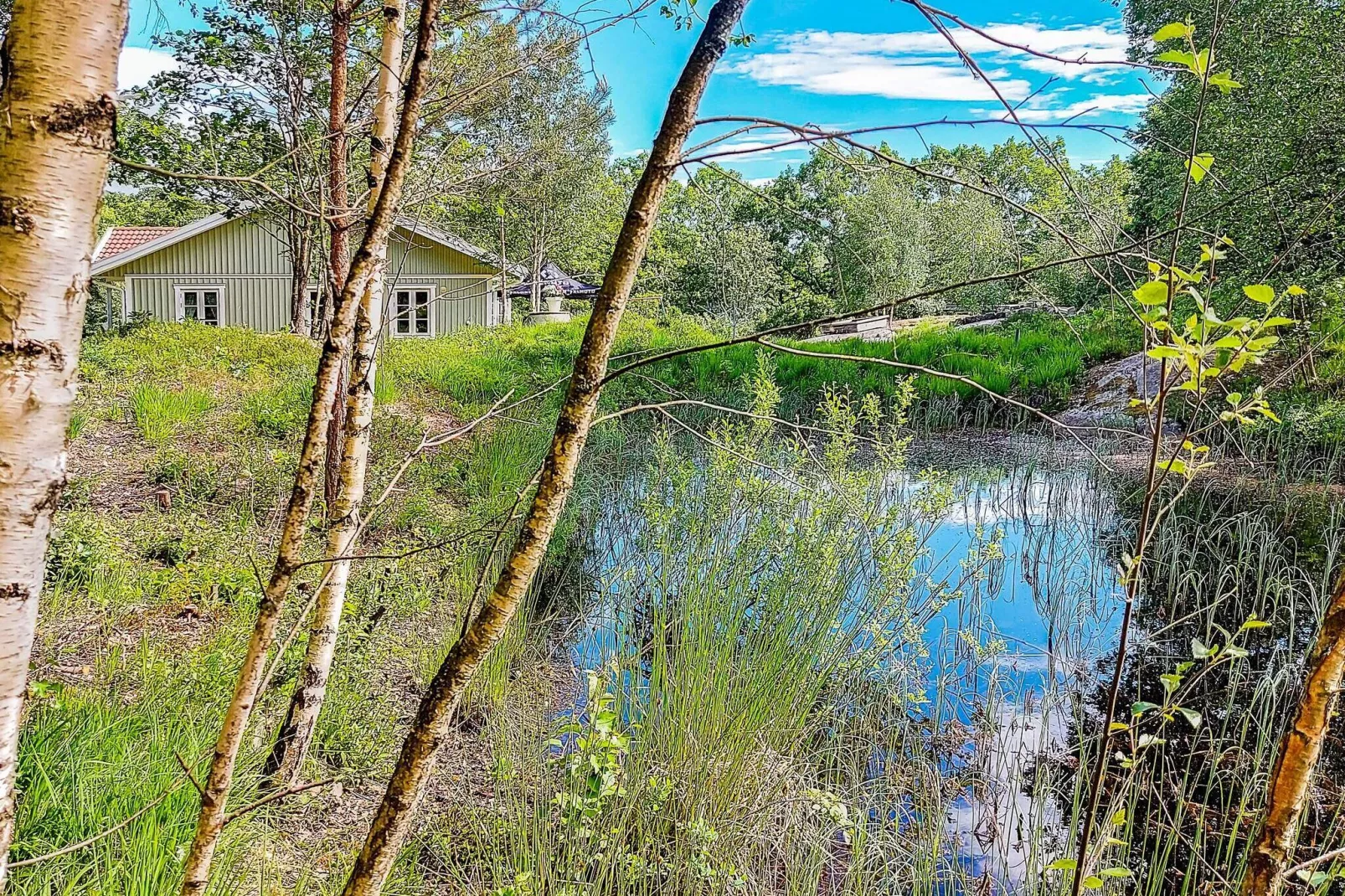 8 persoons vakantie huis in ELLÖS-Uitzicht