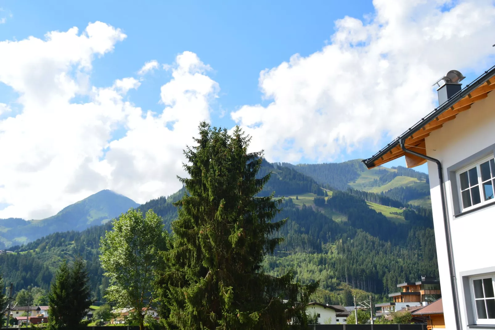 Residenz Edelalm - Top 5-Uitzicht zomer