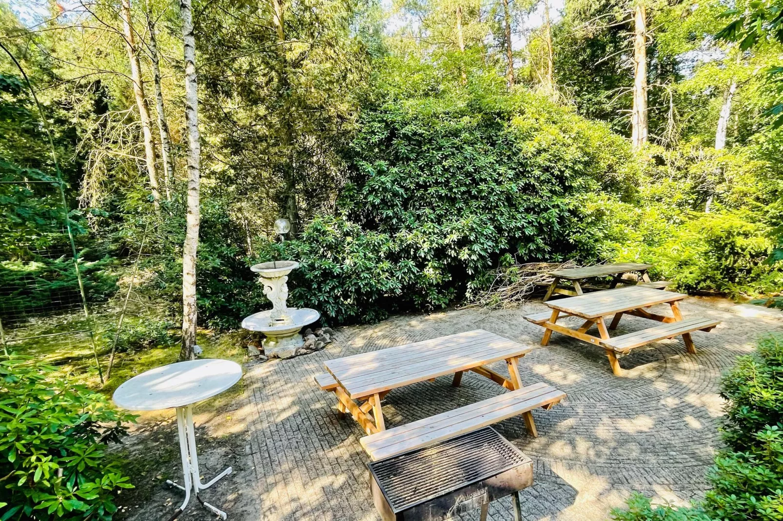 De grove den-Tuinen zomer