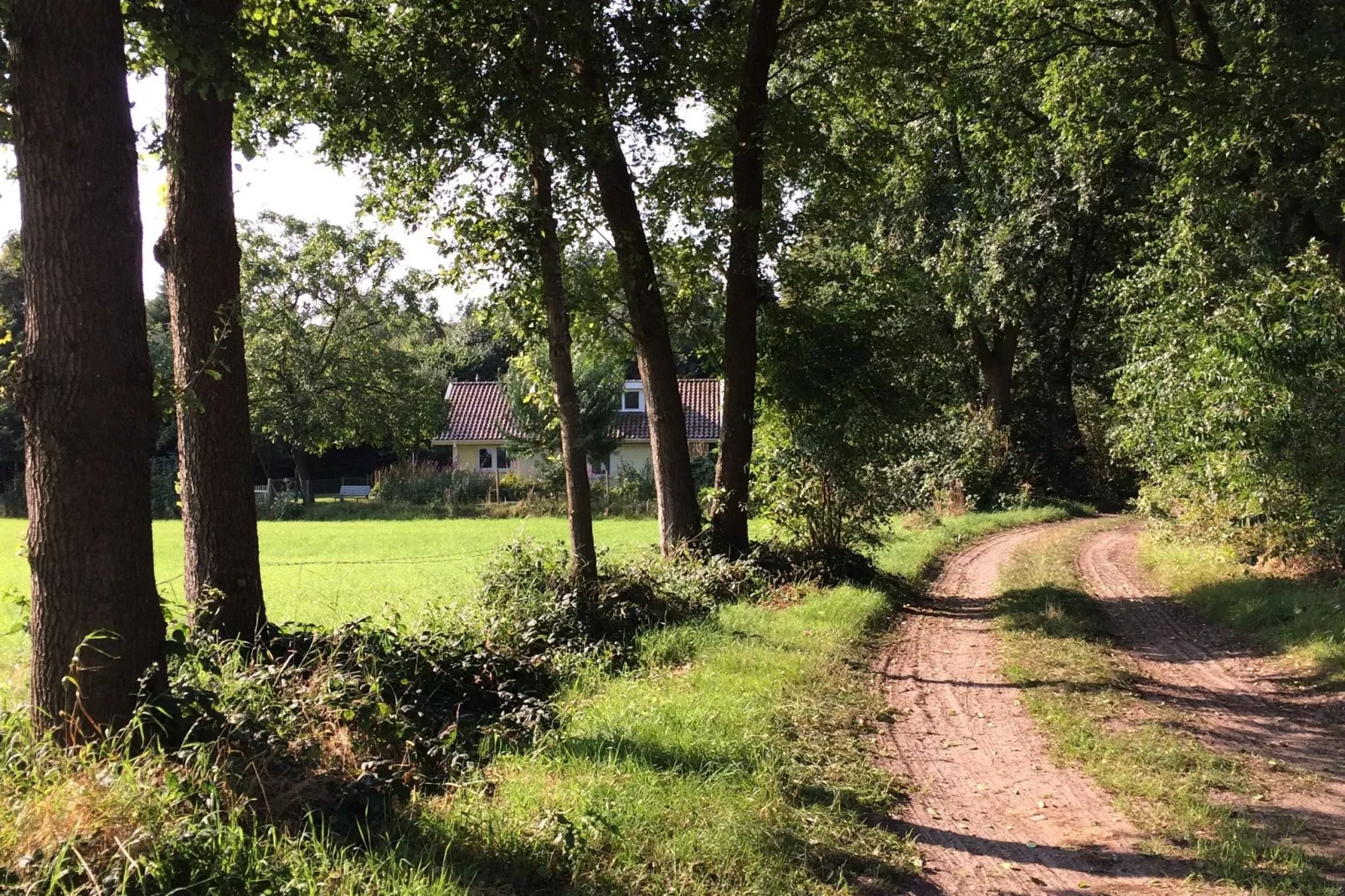 Kempernoel-Gebieden zomer 1km