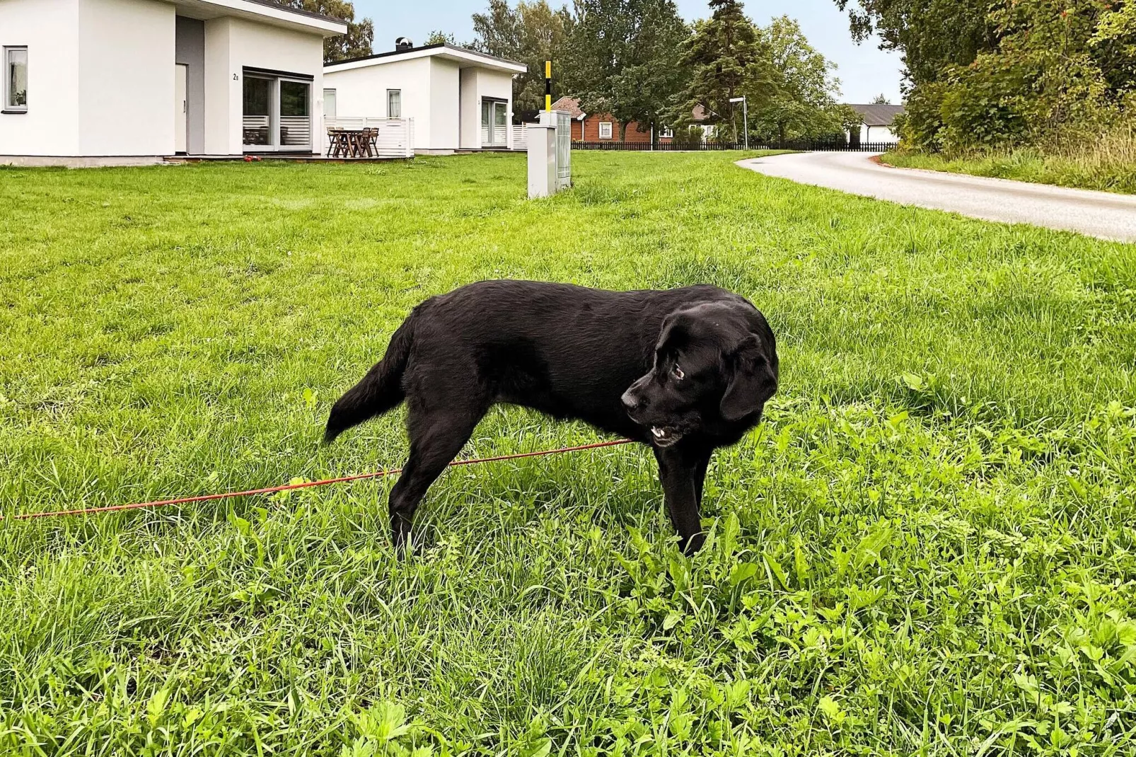 6 persoons vakantie huis in GOTLANDS TOFTA