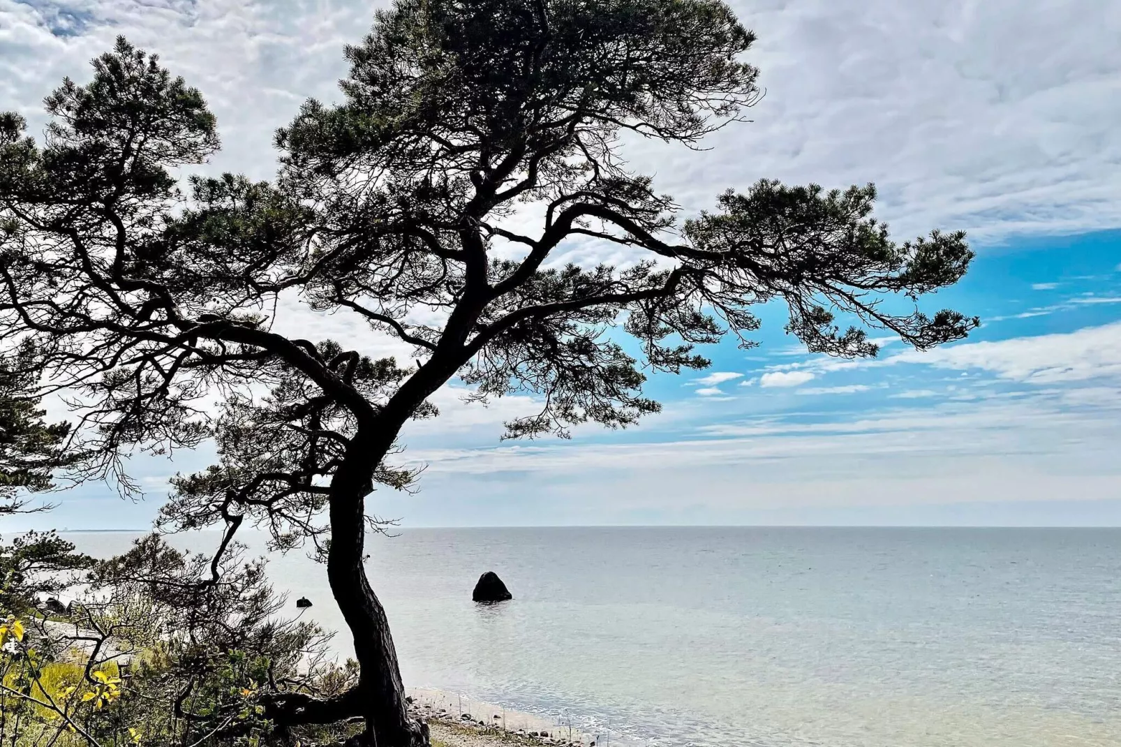 6 persoons vakantie huis in GOTLANDS TOFTA-Niet-getagd