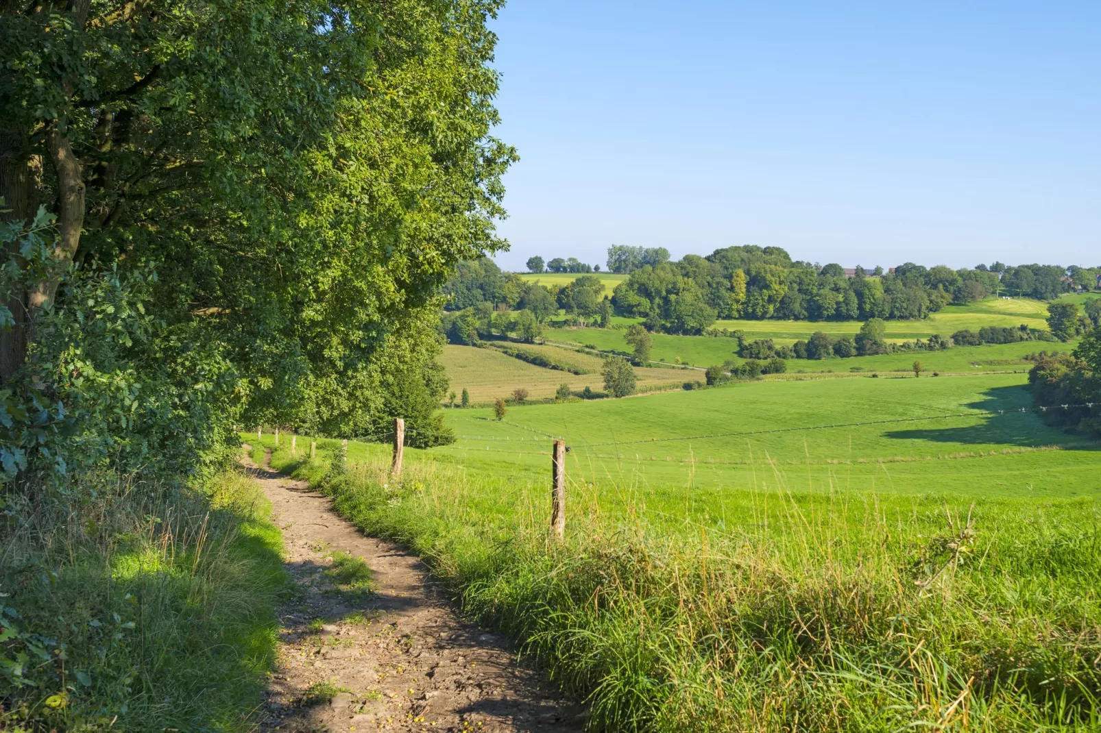 Resort Mooi Bemelen 10-Gebieden zomer 5km