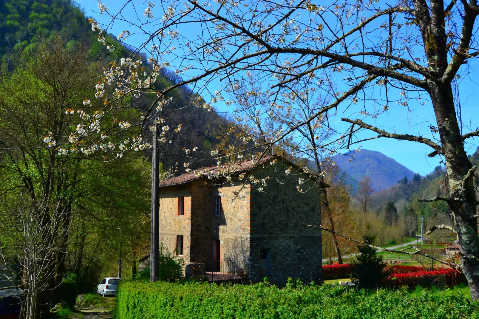Mooi ouderwets en gezellig vakantiehuis met zwembad in een landelijke omgeving-Buitenkant zomer
