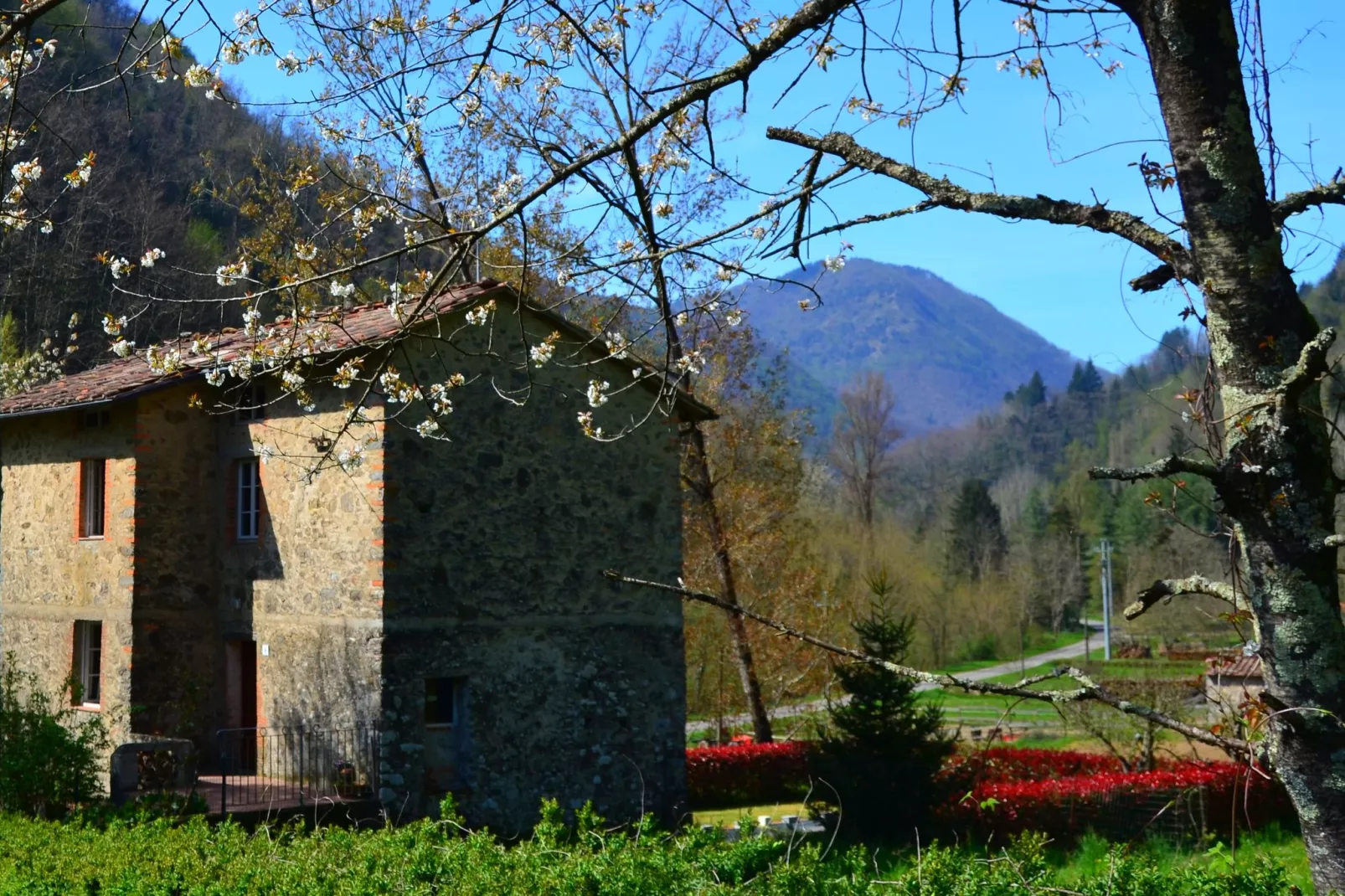 Mooi ouderwets en gezellig vakantiehuis met zwembad in een landelijke omgeving-Tuinen zomer