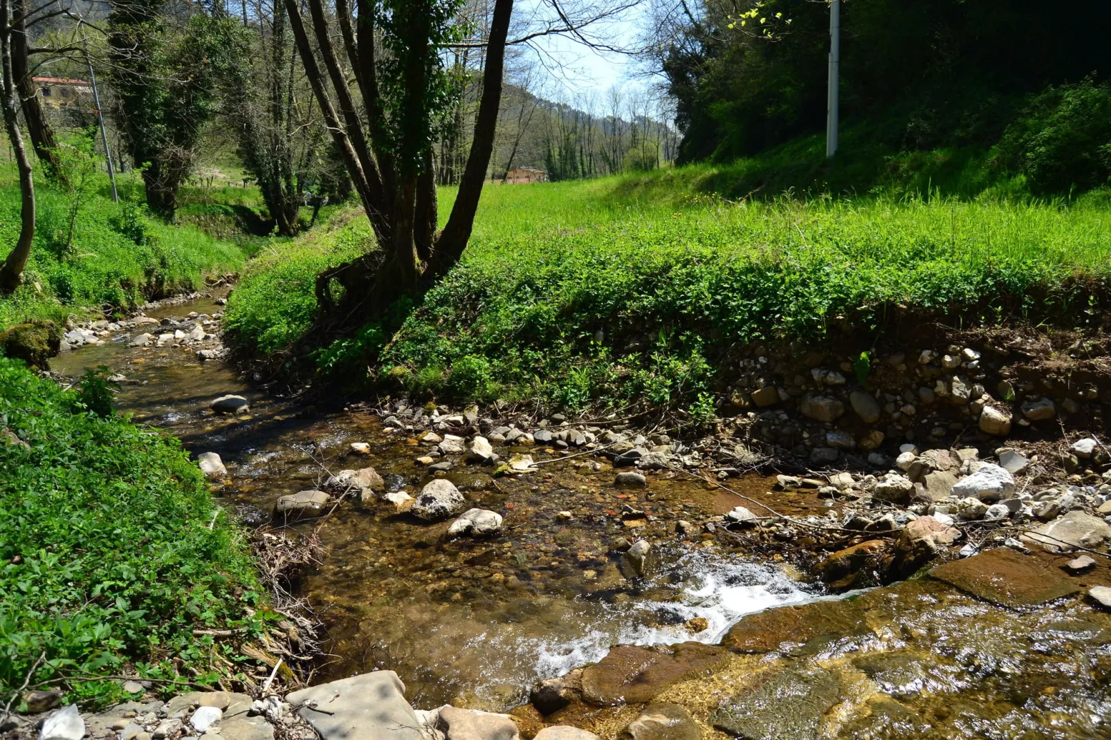 Mooi ouderwets en gezellig vakantiehuis met zwembad in een landelijke omgeving-Gebieden zomer 5km