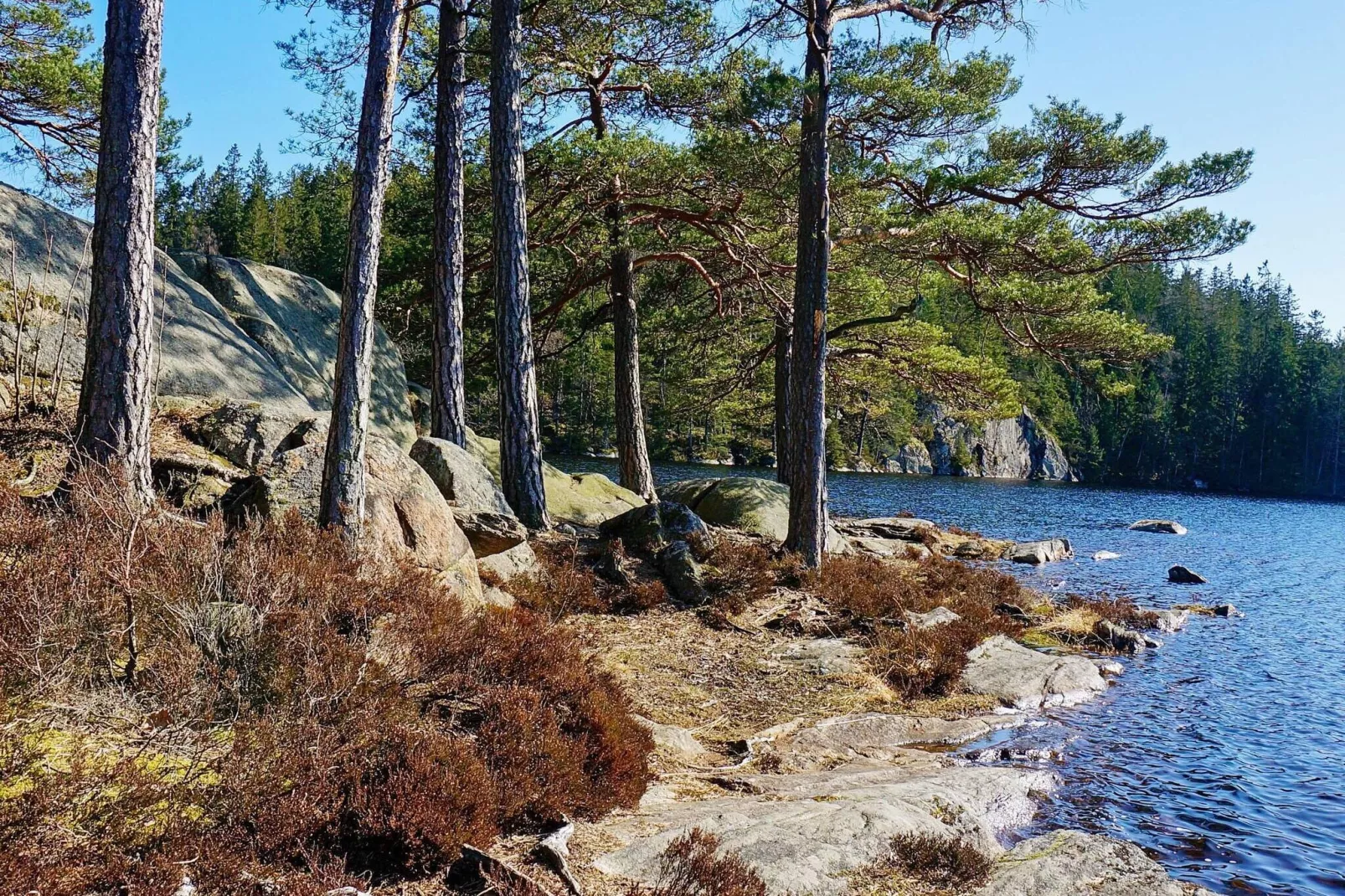 4 sterren vakantie huis in VESTERLANDA-Waterzicht