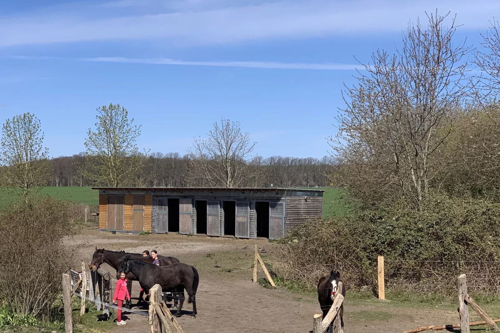 Romantisches Landhaus mit Kamin-Tuinen zomer