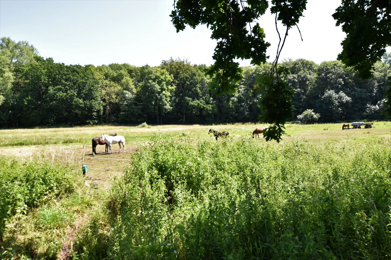 Greta-Uitzicht zomer