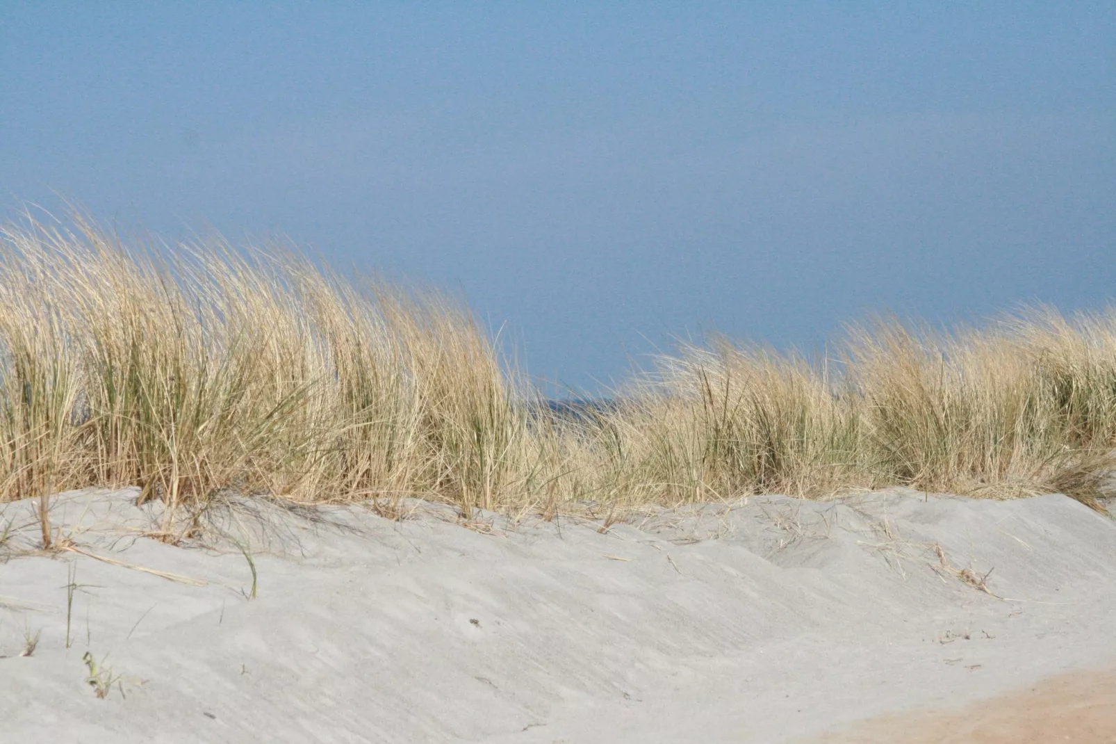 Kinderparadies nahe Insel Poel-Gebieden zomer 20km