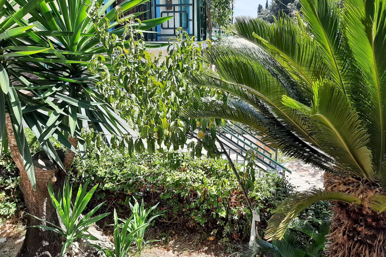 Andromaches Apartments Superior Double Studio-Sfeer