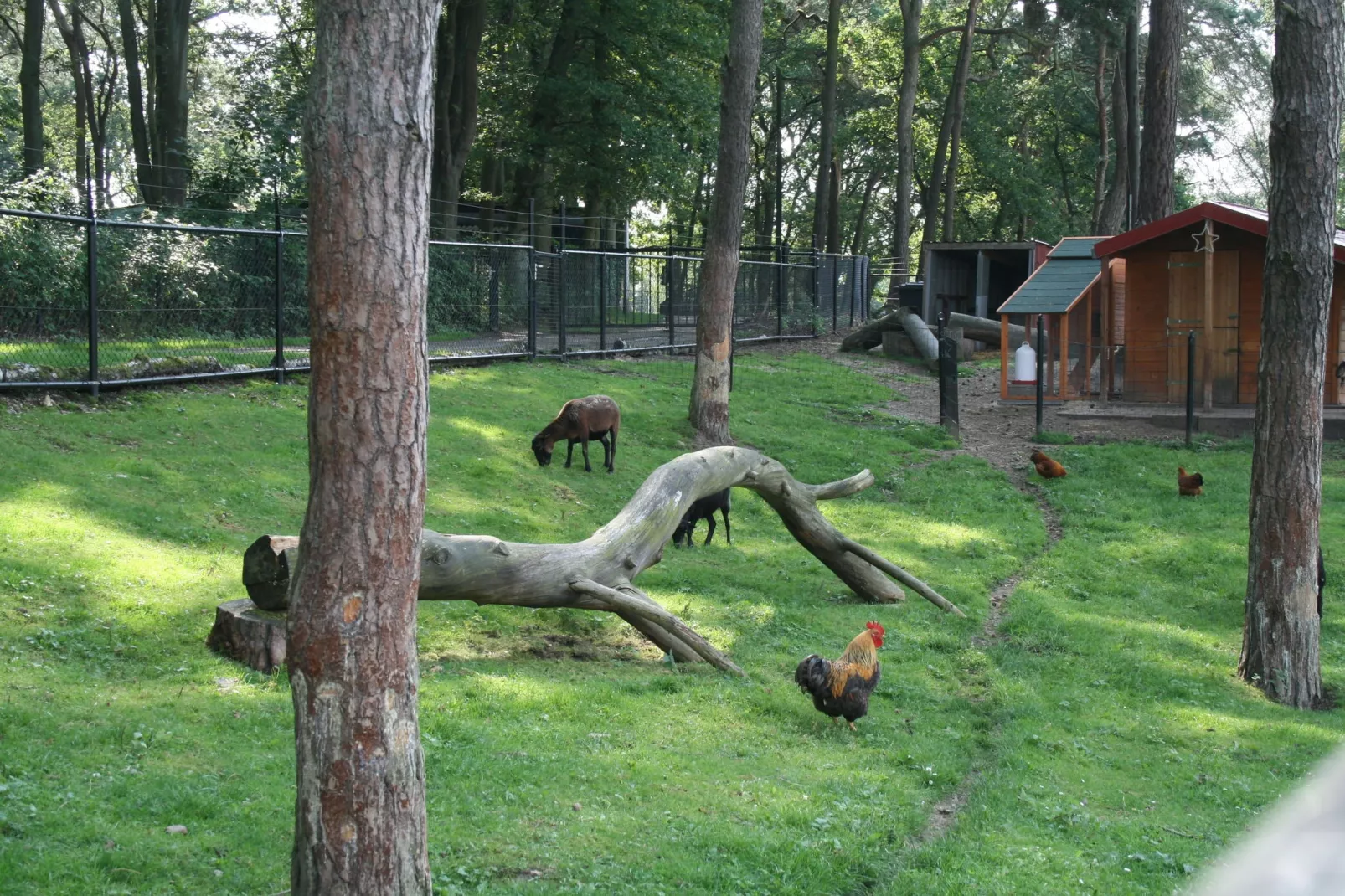 Resort Brunssummerheide 28-Parkfaciliteiten