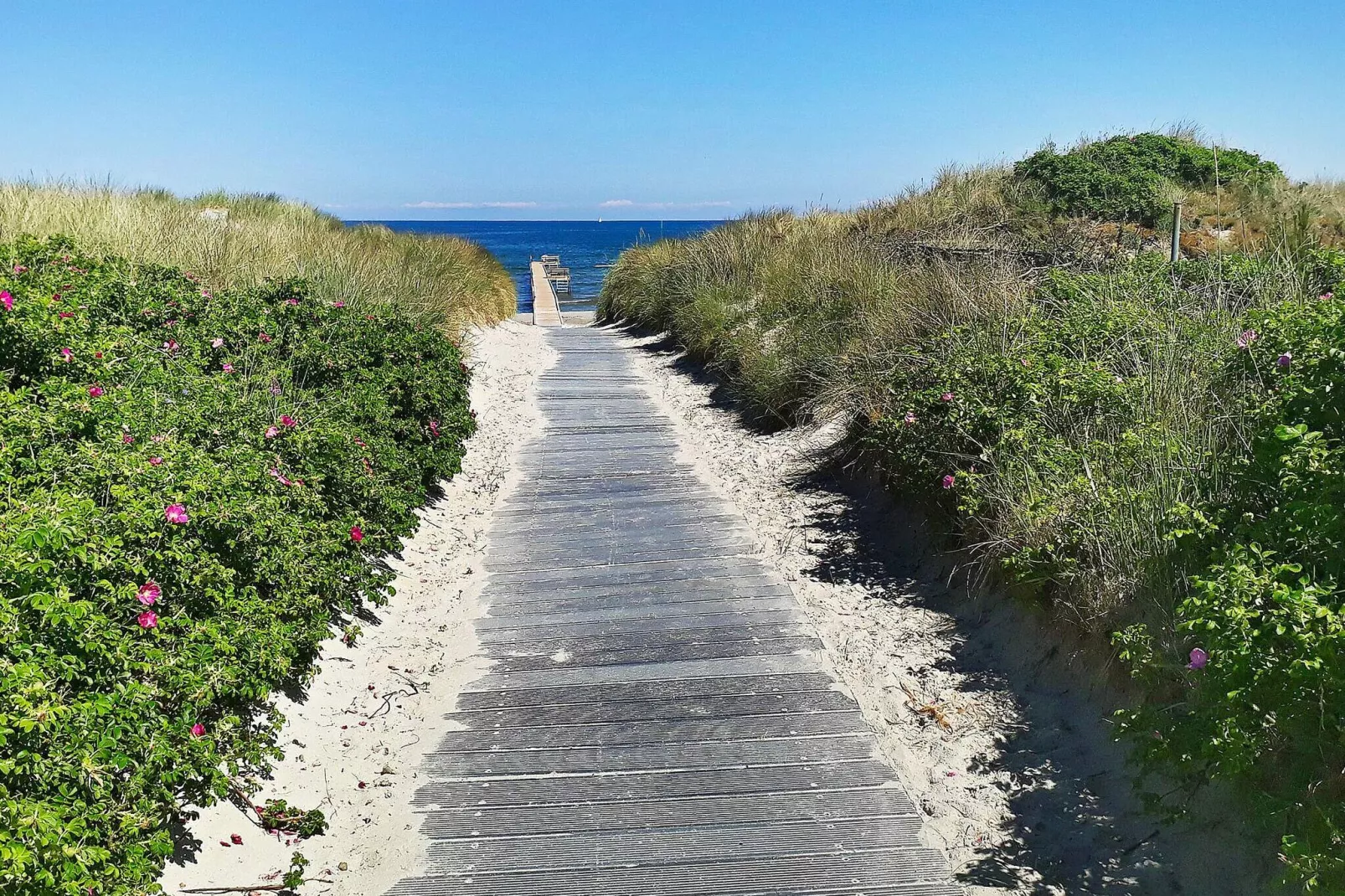10 persoons vakantie huis in Jerup-By Traum-Uitzicht