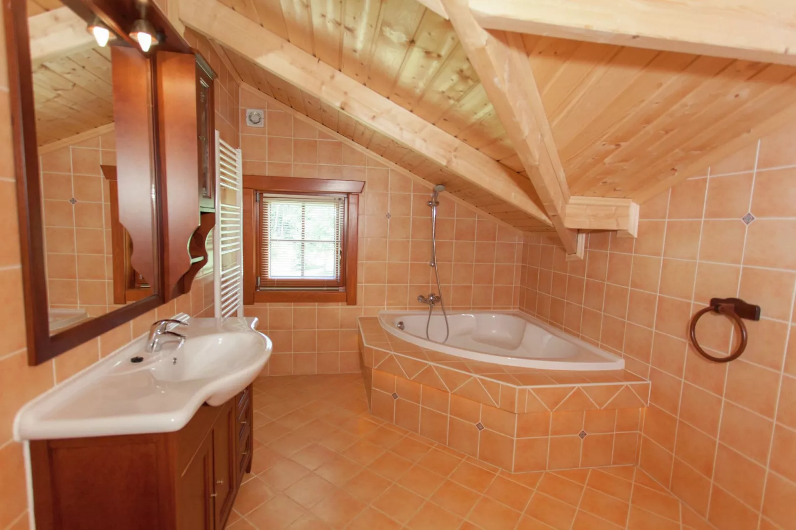Resort Brunssummerheide 24-Badkamer