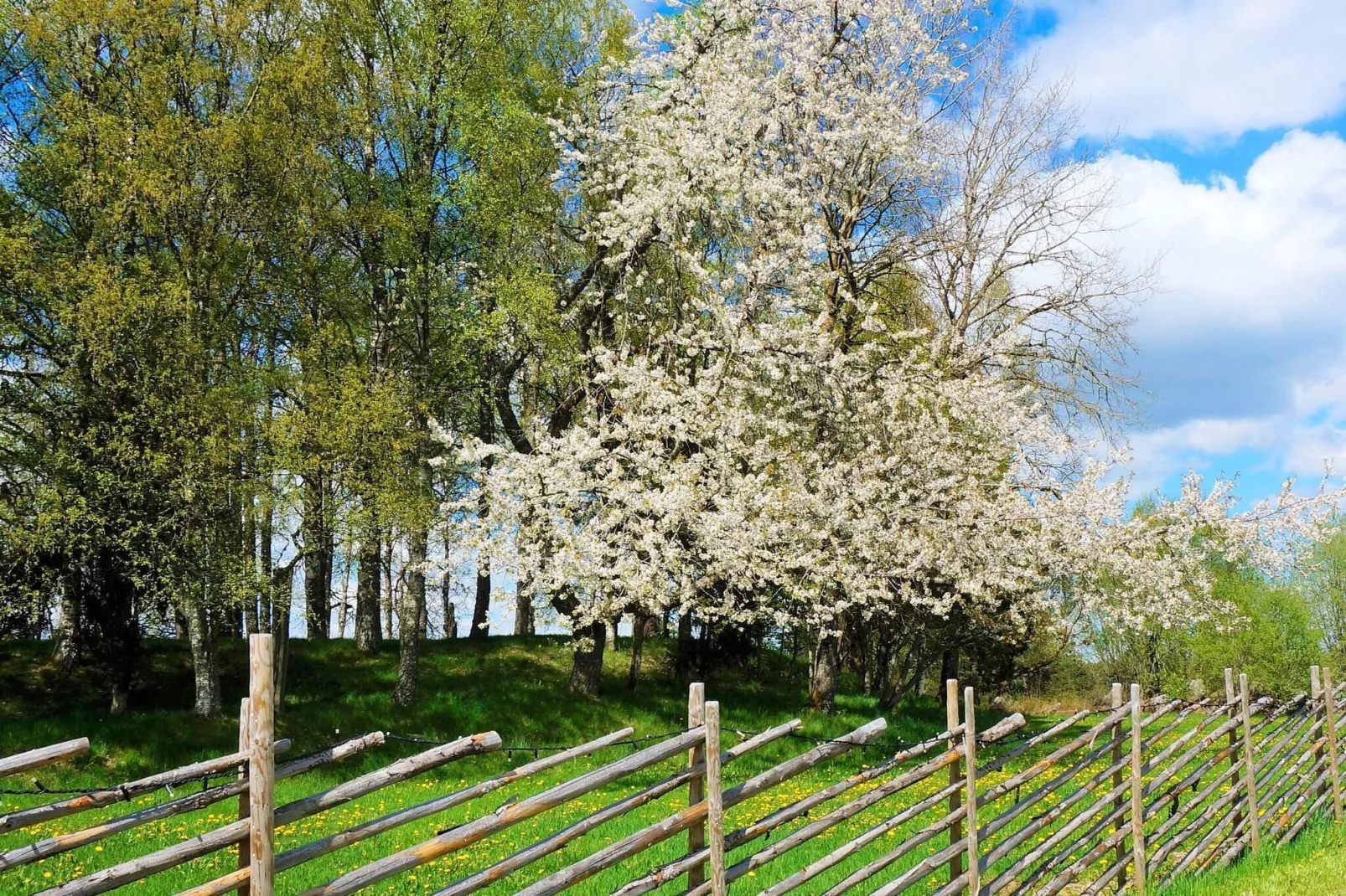 4 persoons vakantie huis in SANDHEM-By Traum