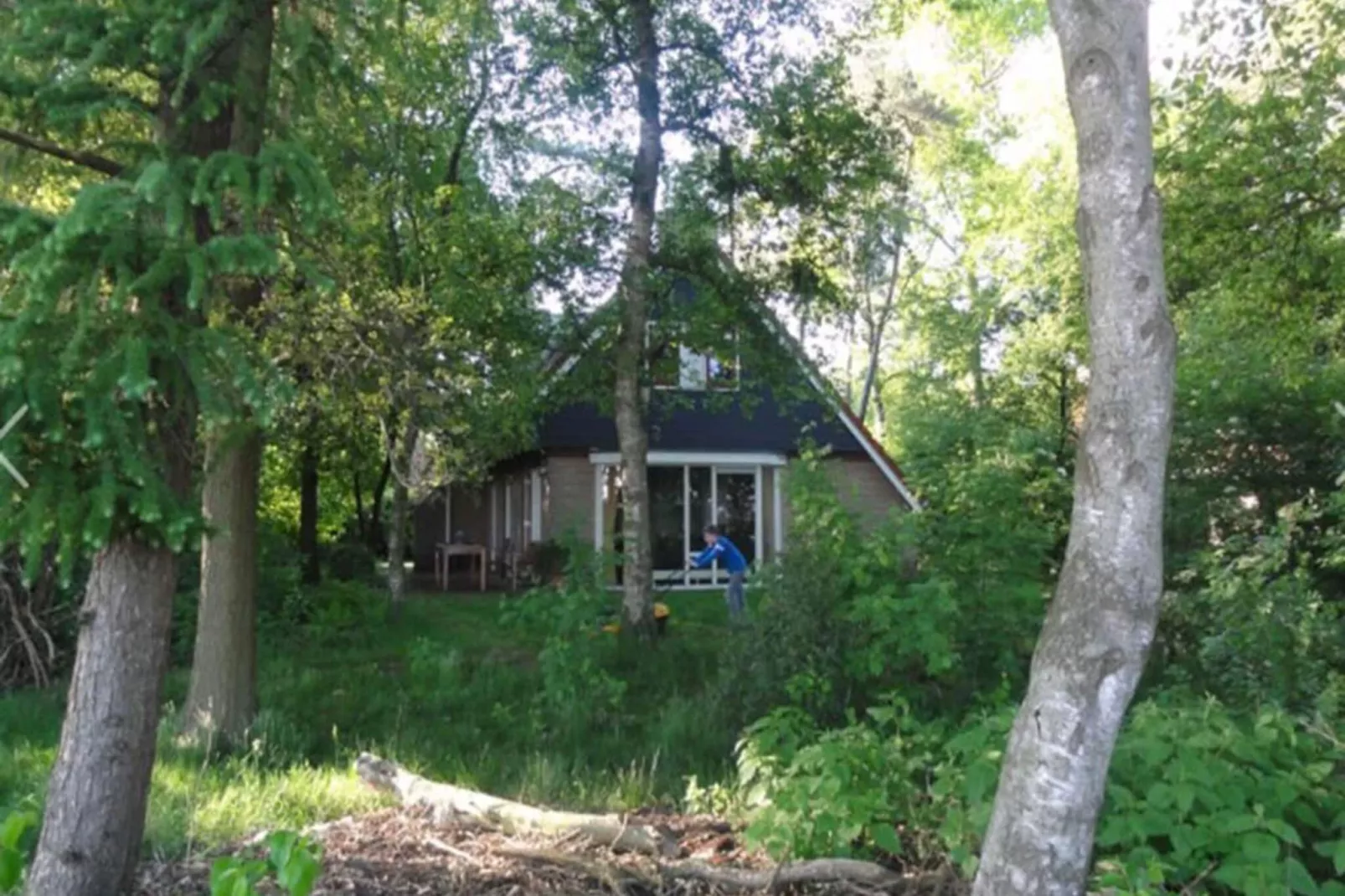 Buitenplaats Berg en Bos nummer 4-Buitenkant zomer