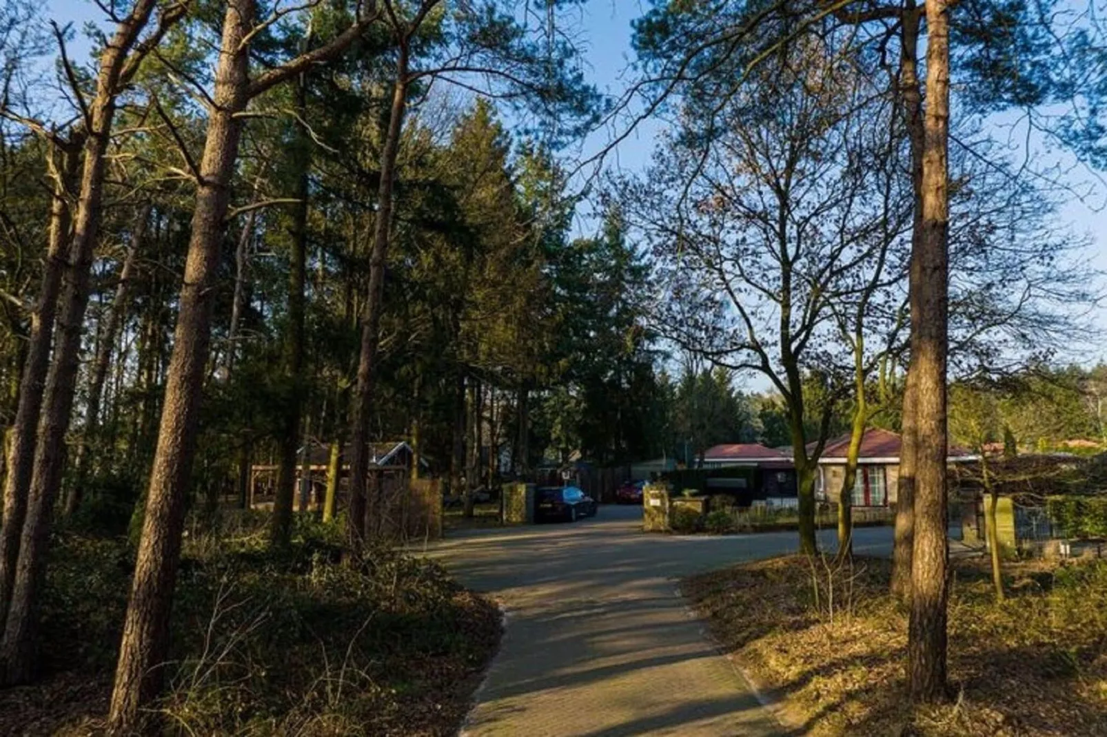 Villa Heide-Gebieden zomer 1km