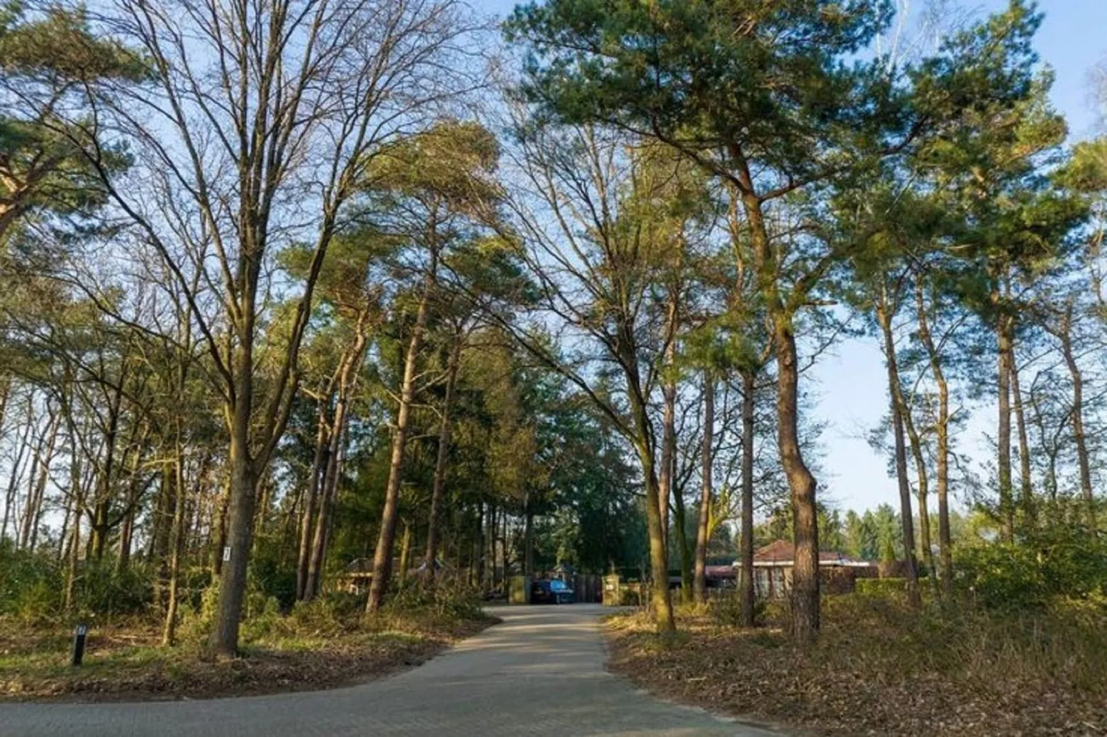Villa Heide-Gebieden zomer 1km
