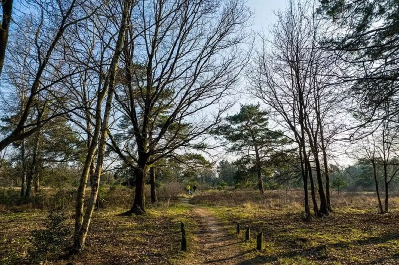 Villa Heide-Gebieden zomer 5km