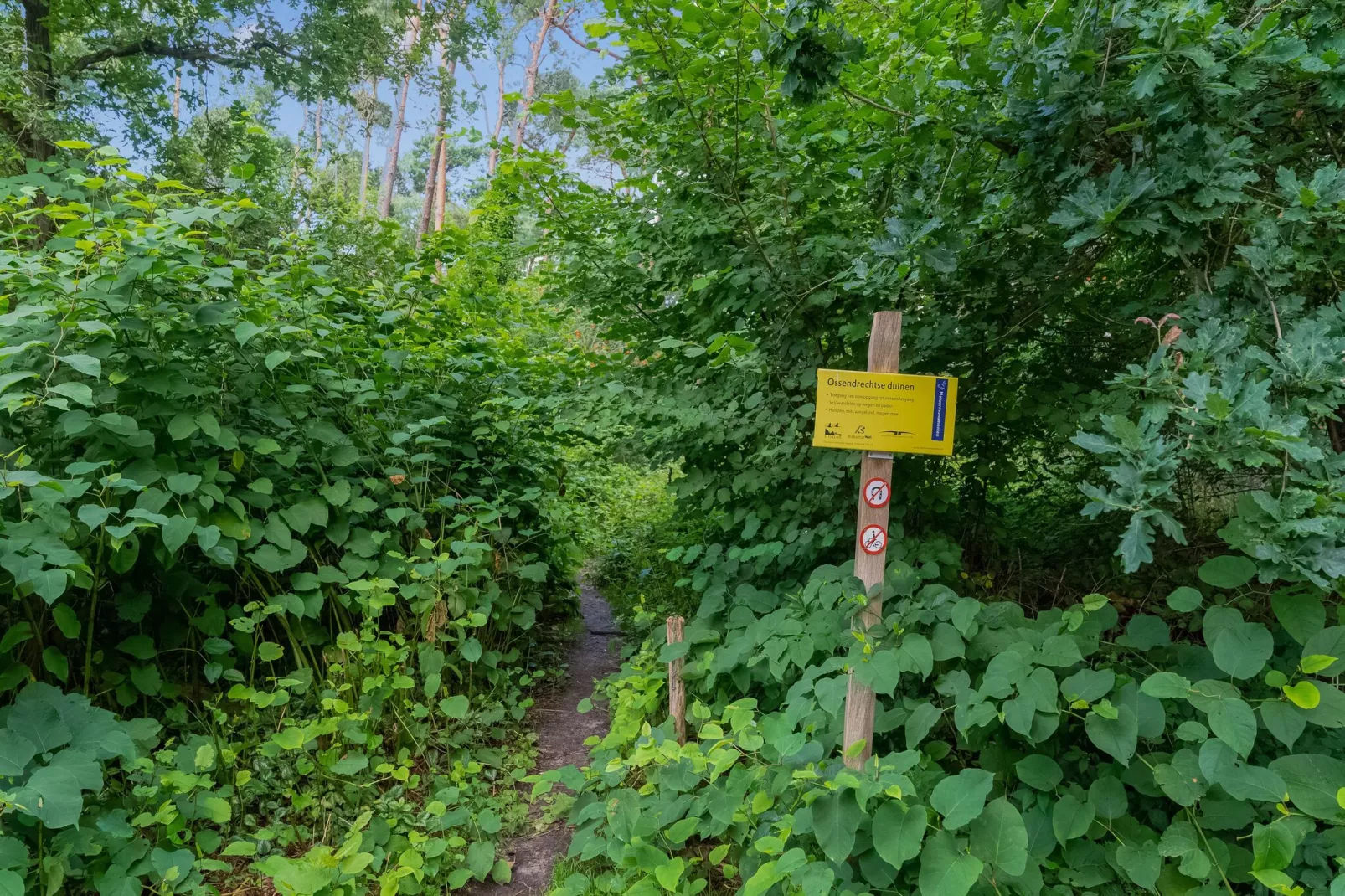 Het Haasje-Gebieden zomer 5km