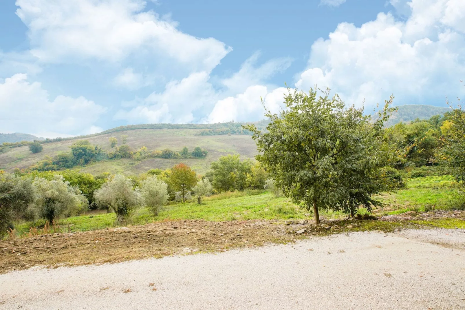 Poggio