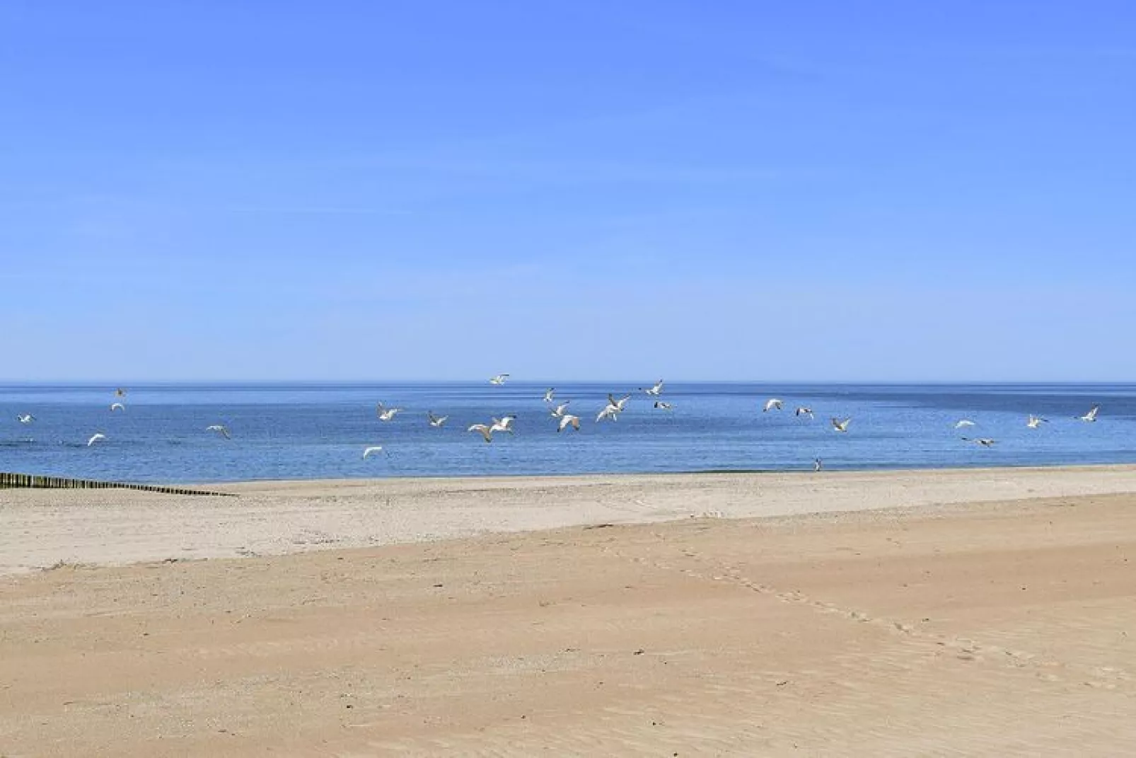 Holiday flat Rowy Typ C-Waterzicht