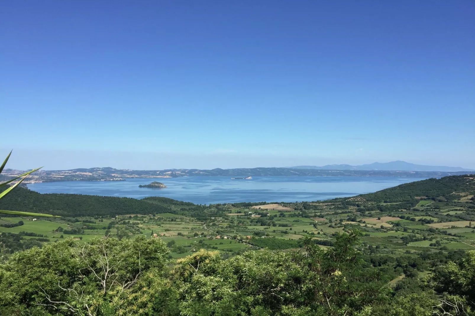 Vignente-Gebieden zomer 1km