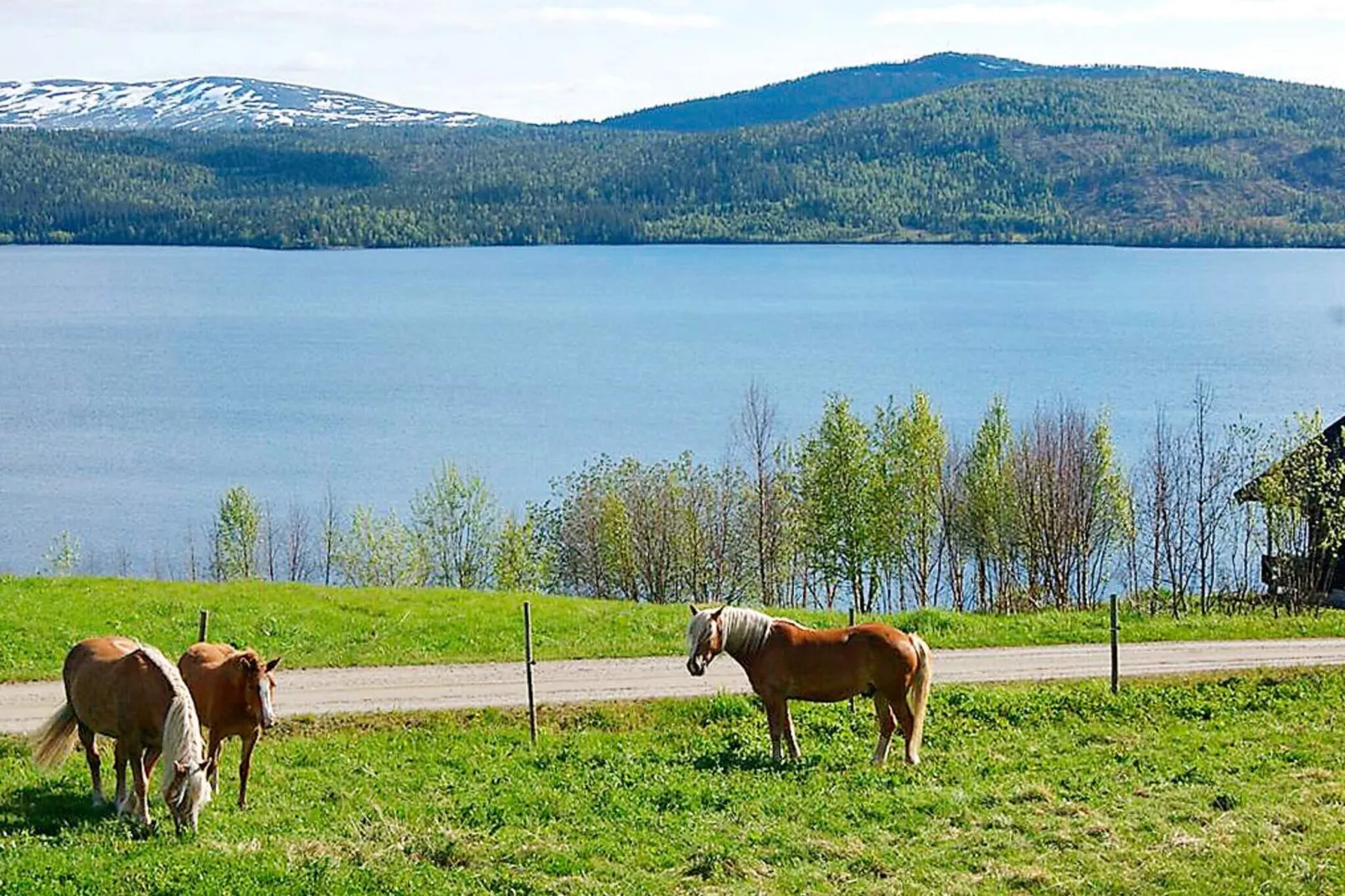 6 persoons vakantie huis in Nordli-By Traum-Niet-getagd
