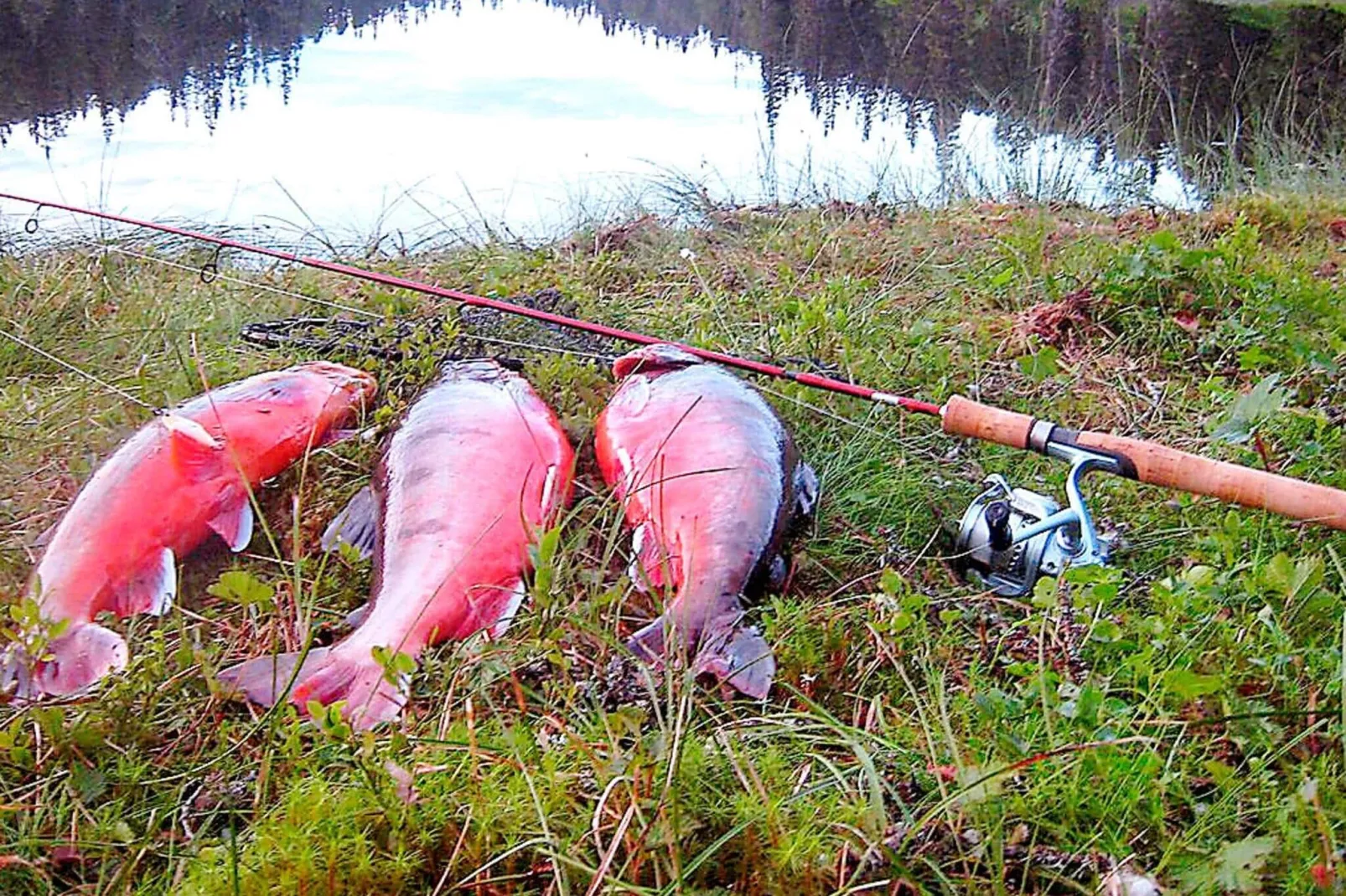 6 persoons vakantie huis in Nordli-By Traum-Niet-getagd