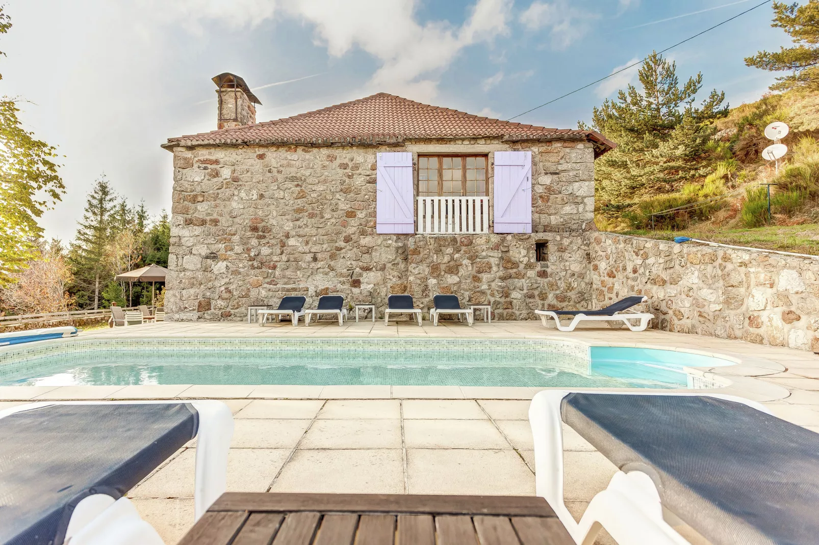 Maison de vacance - Cros-de-Géorand-Zwembad