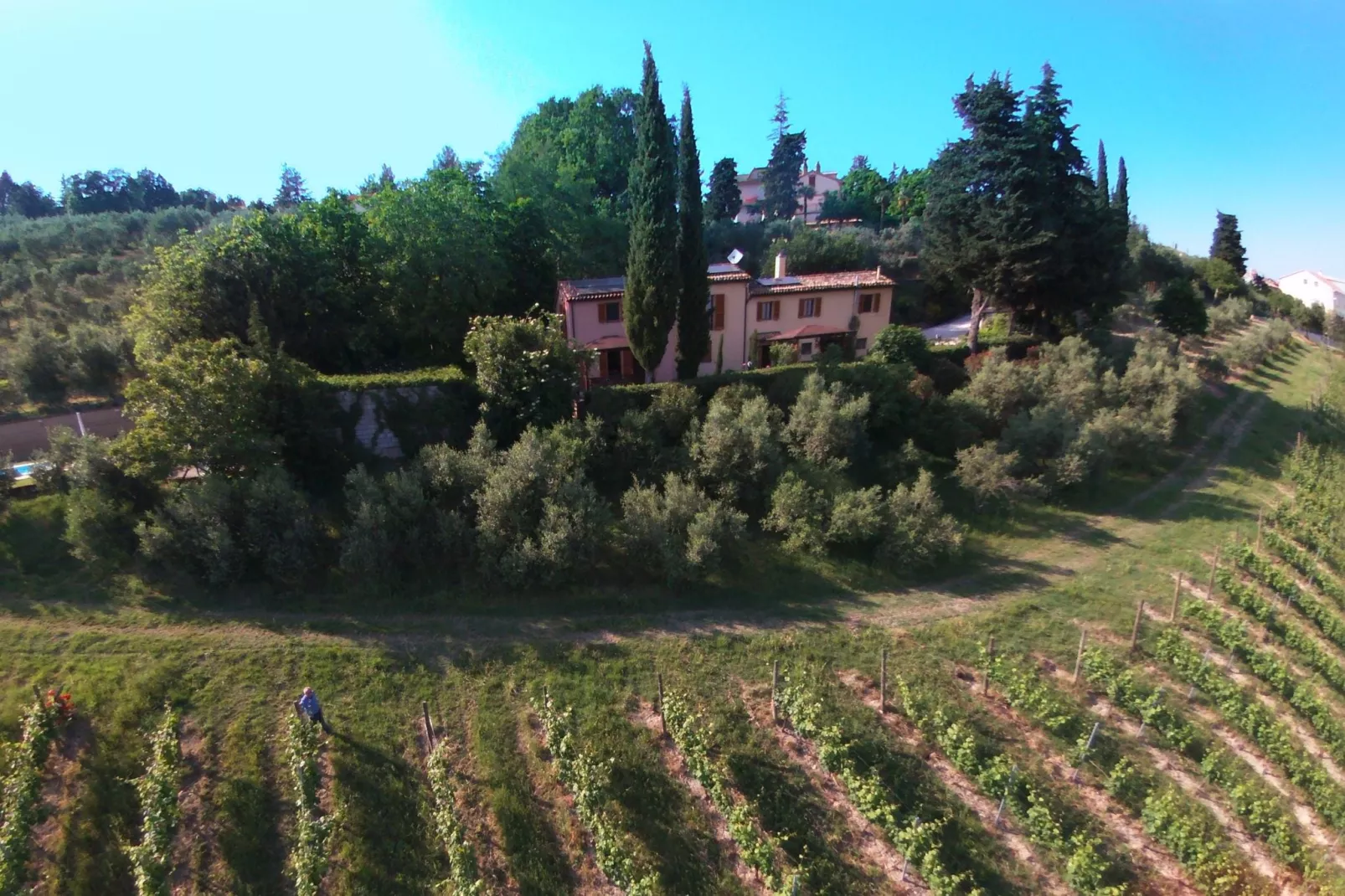 Agriturismo met zwembad en mooi uitzicht tussen wijngaard en olijfbomen