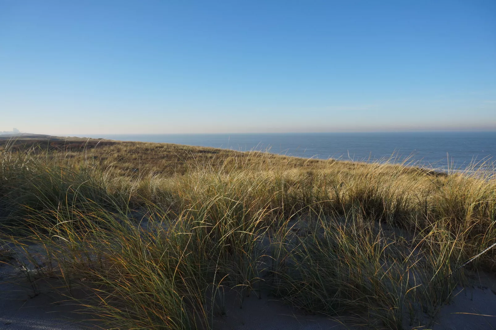 Bungalowpark 't Lappennest 1-Gebieden zomer 5km