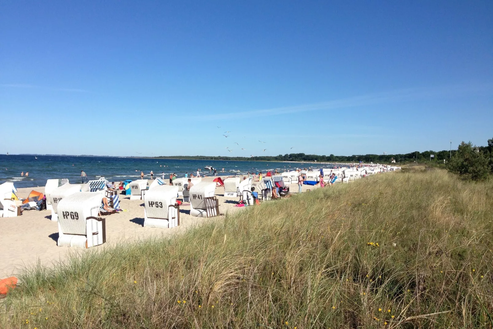Im Ostseebad Boltenhagen-Gebieden zomer 5km