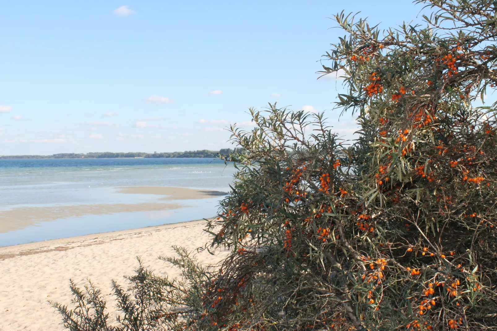 Im Ostseebad Boltenhagen-Gebieden zomer 20km