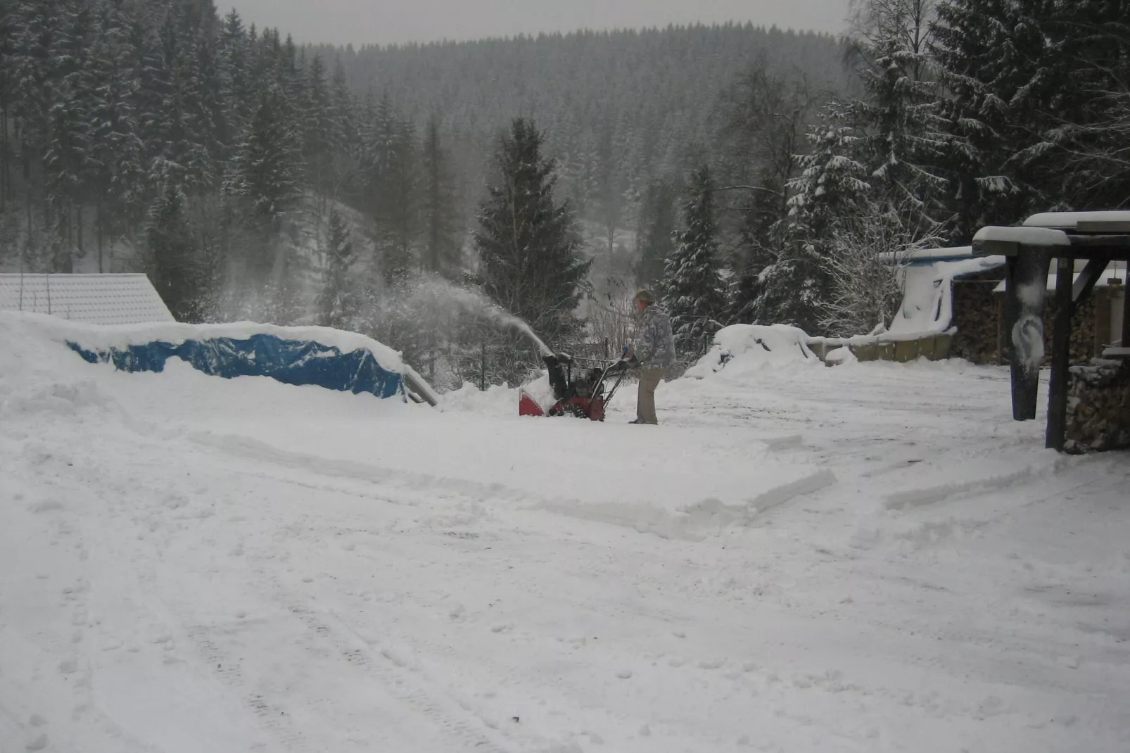 Wildemann-Gebied winter 1km