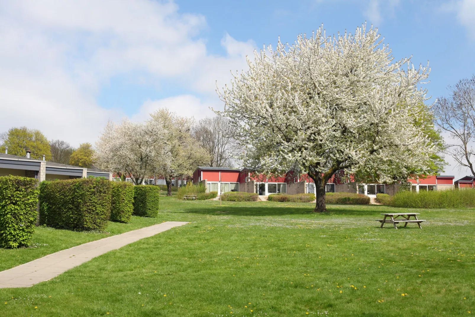 Bungalowpark Schin op Geul 6-Parkfaciliteiten