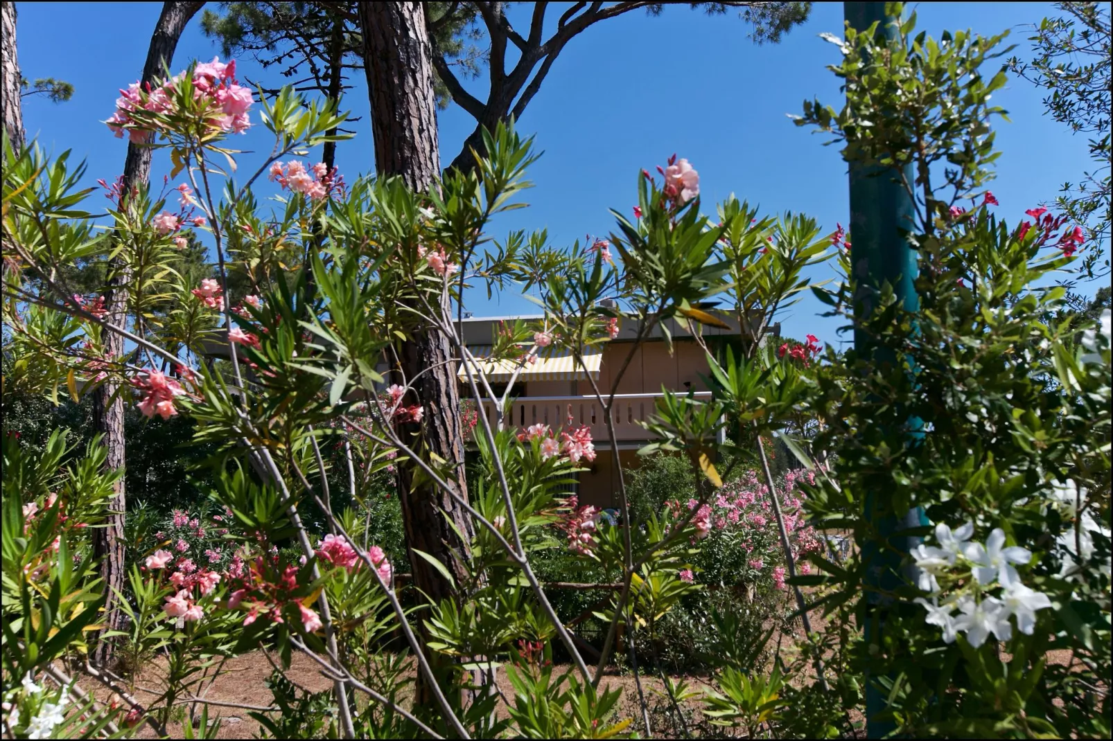 Il Girasole-Buitenkant zomer