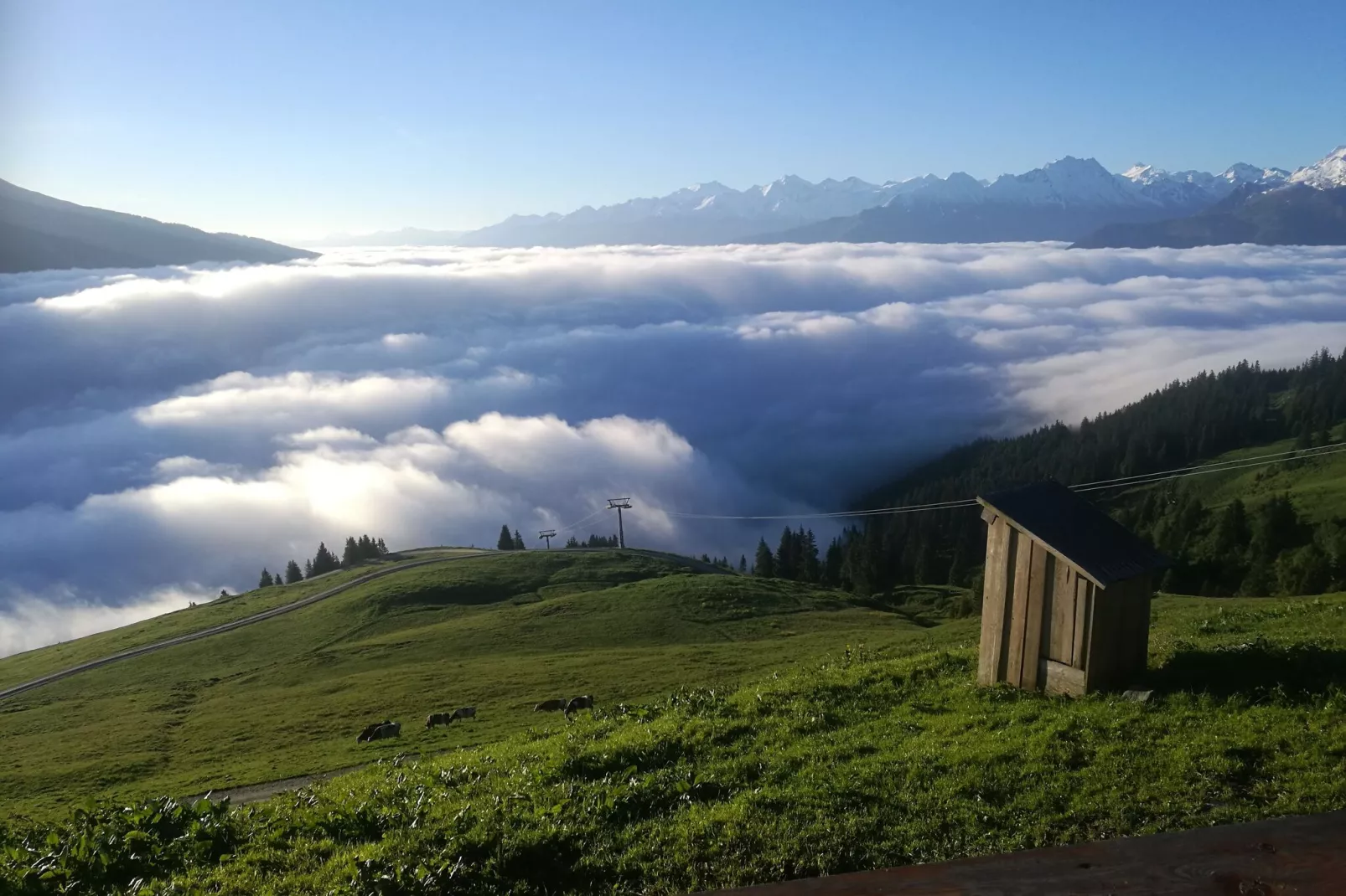 Almhütte Gipfelblick