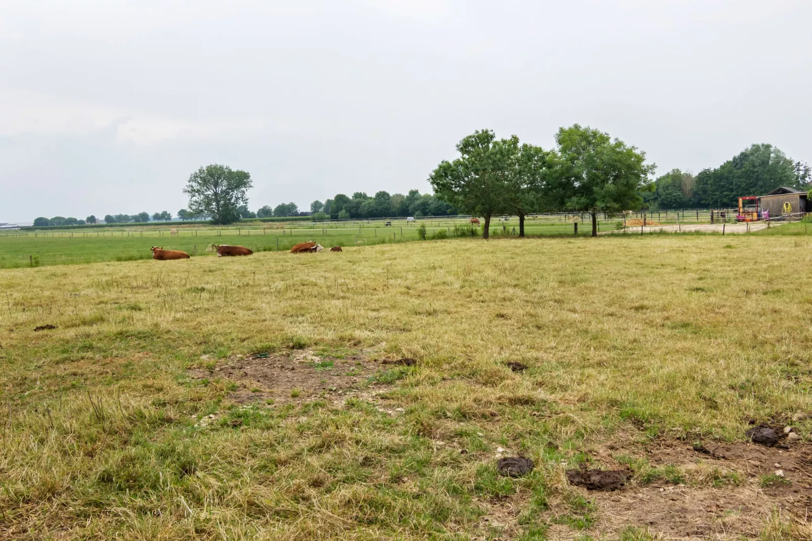 De Salon-Gebieden zomer 1km