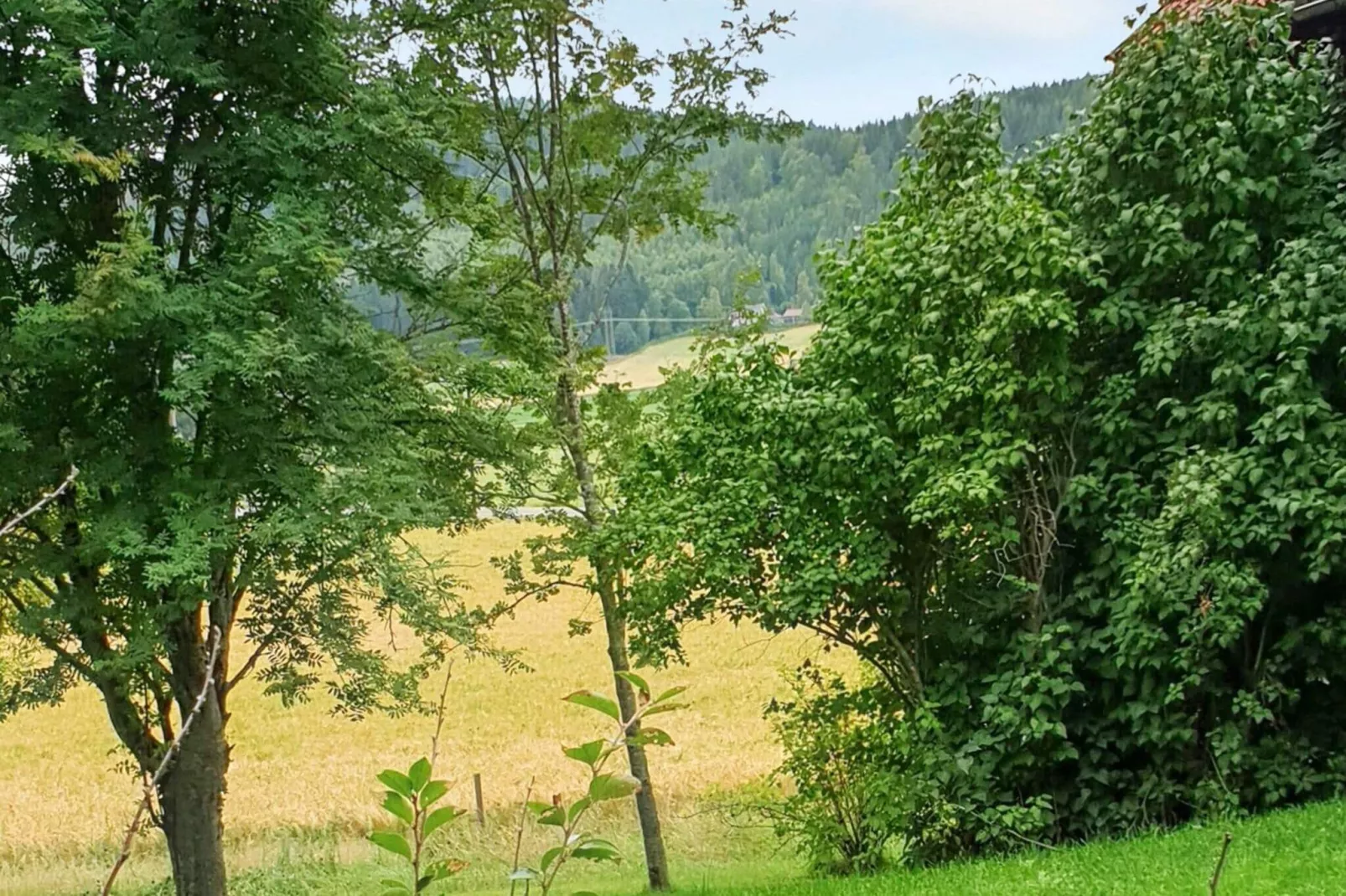4 persoons vakantie huis in JÄRVSÖ-By Traum