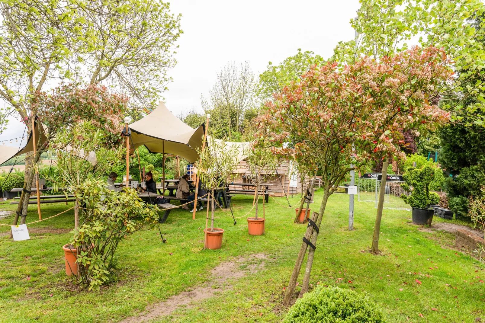 Valleyview Cottages - NR03-Tuinen zomer