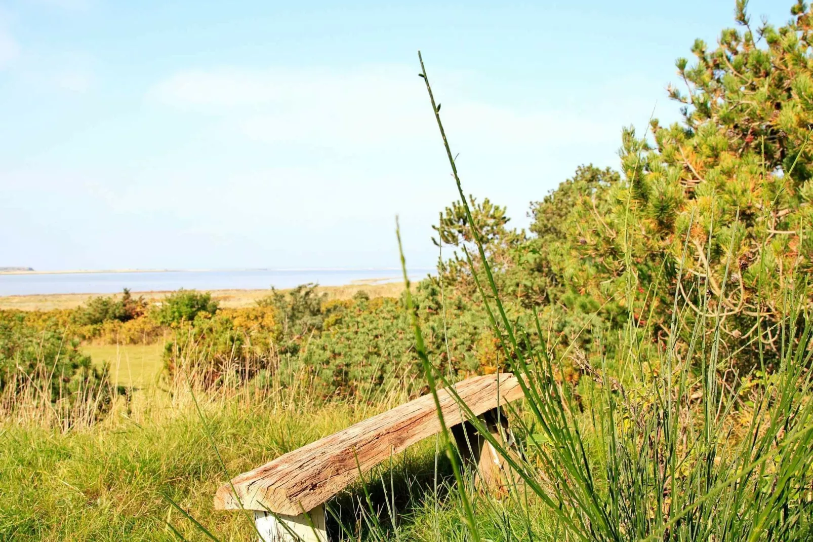 4 persoons vakantie huis in Martofte-By Traum-Waterzicht