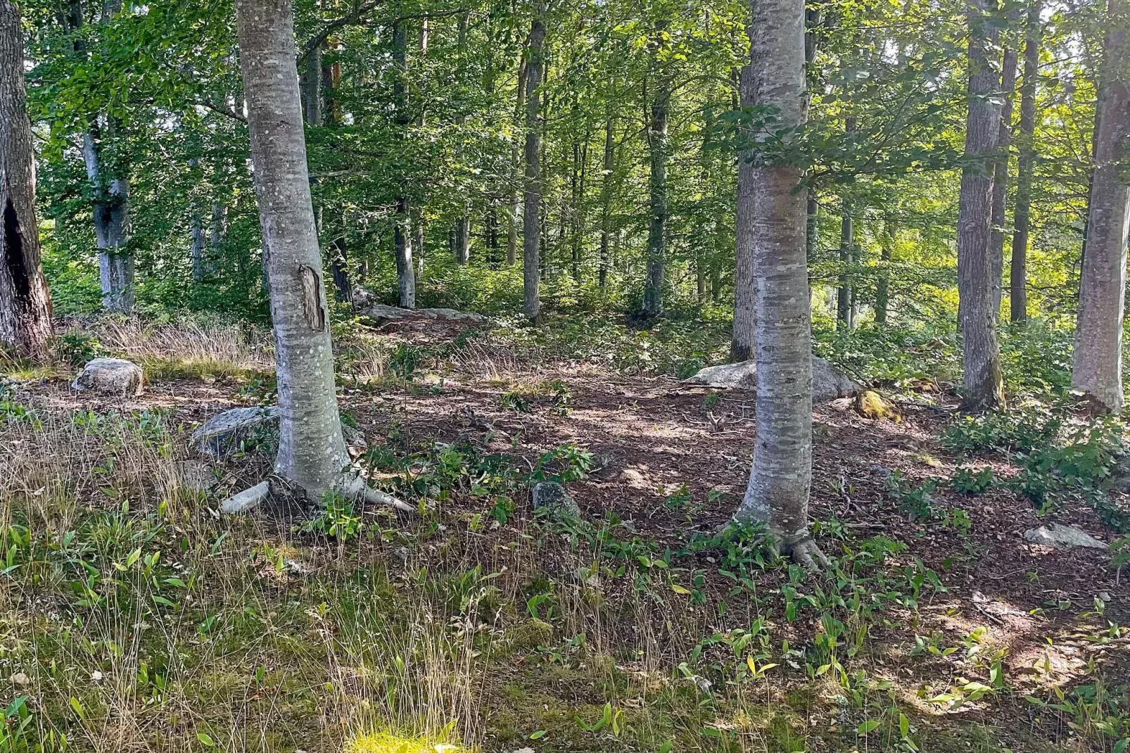 4 persoons vakantie huis in öRSJö-By Traum-Niet-getagd