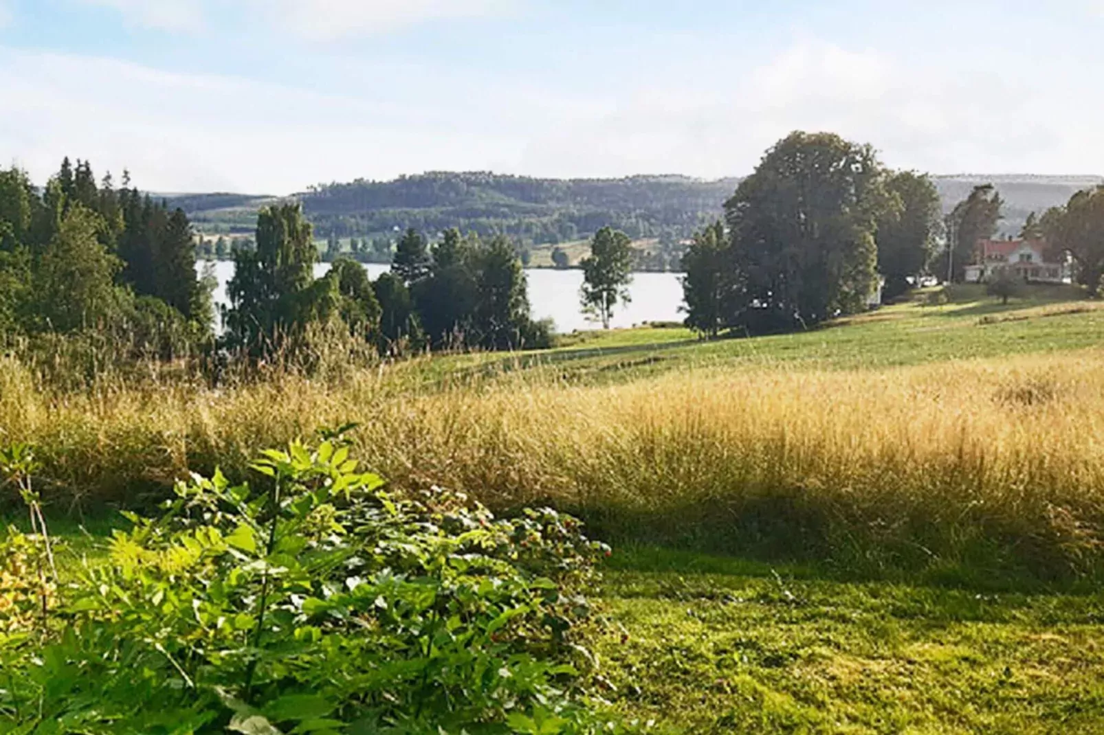 4 persoons vakantie huis in SUNNE-Waterzicht