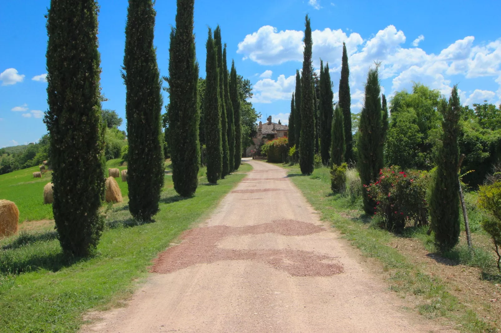 Villa Fiorella Cinque
