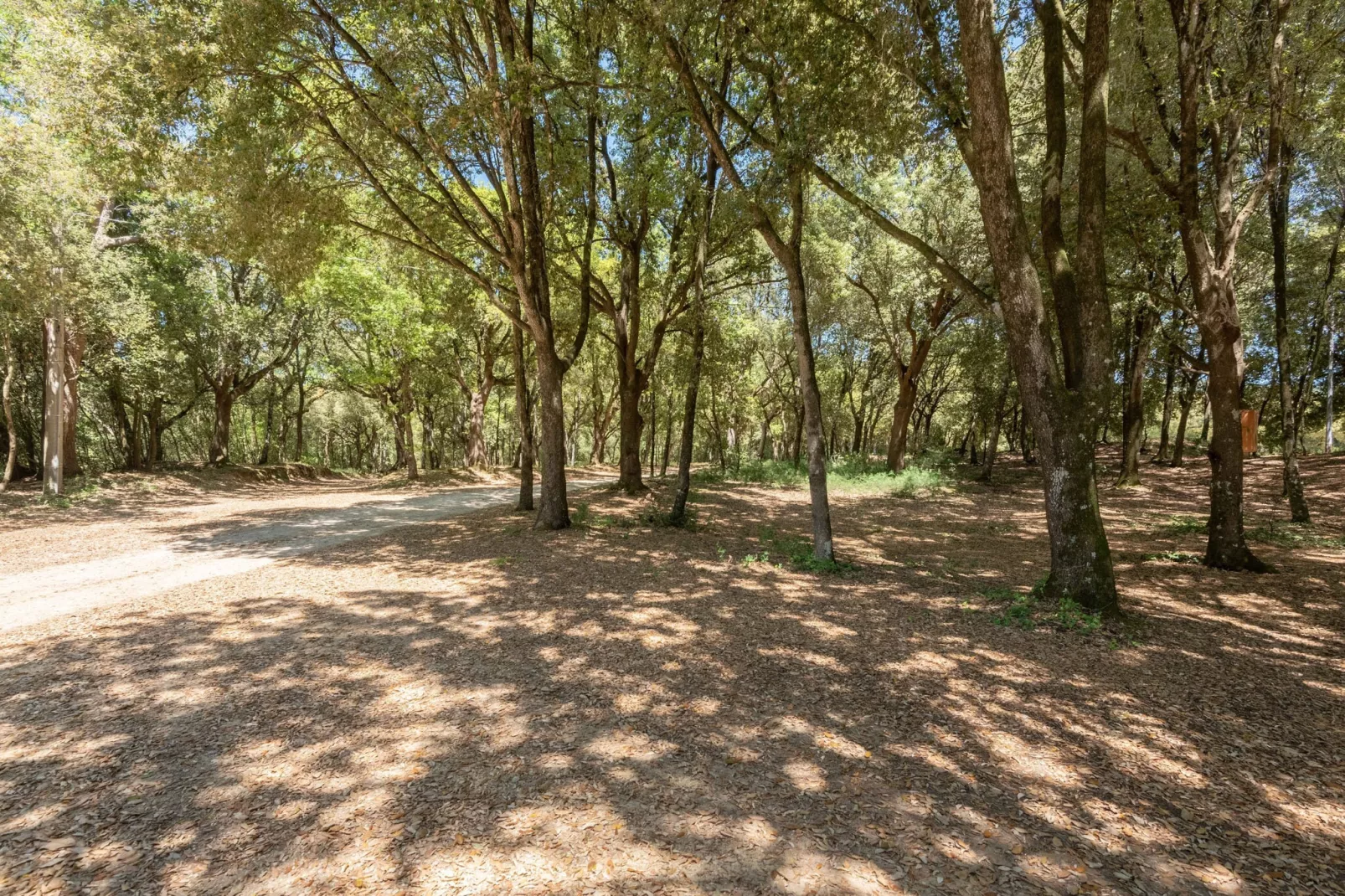 Rustiek appartement in Rapolano Terme met zwembad - Gebieden zomer 5km