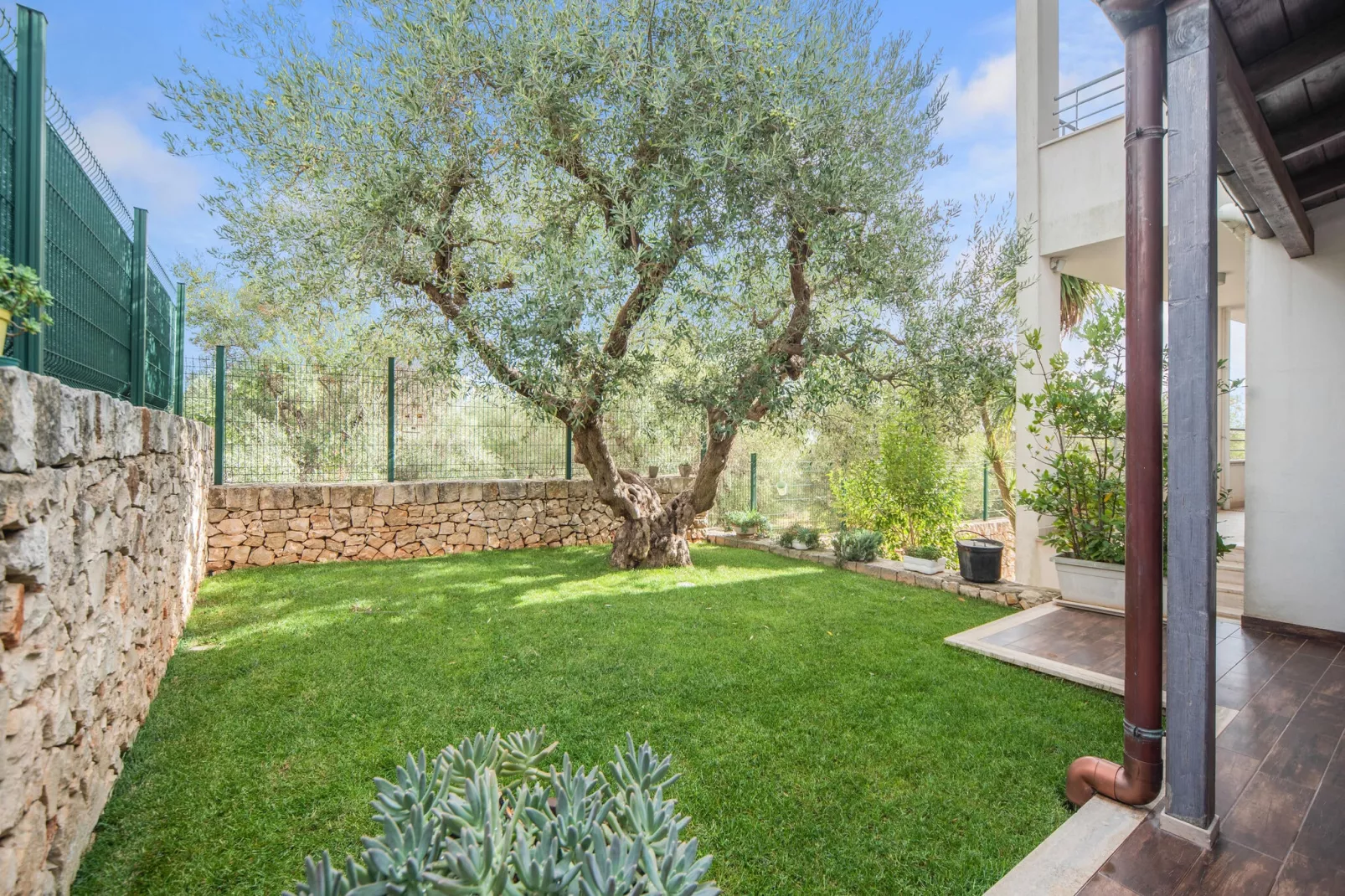 Trullo dell'Ulivo per Tre-Tuinen zomer