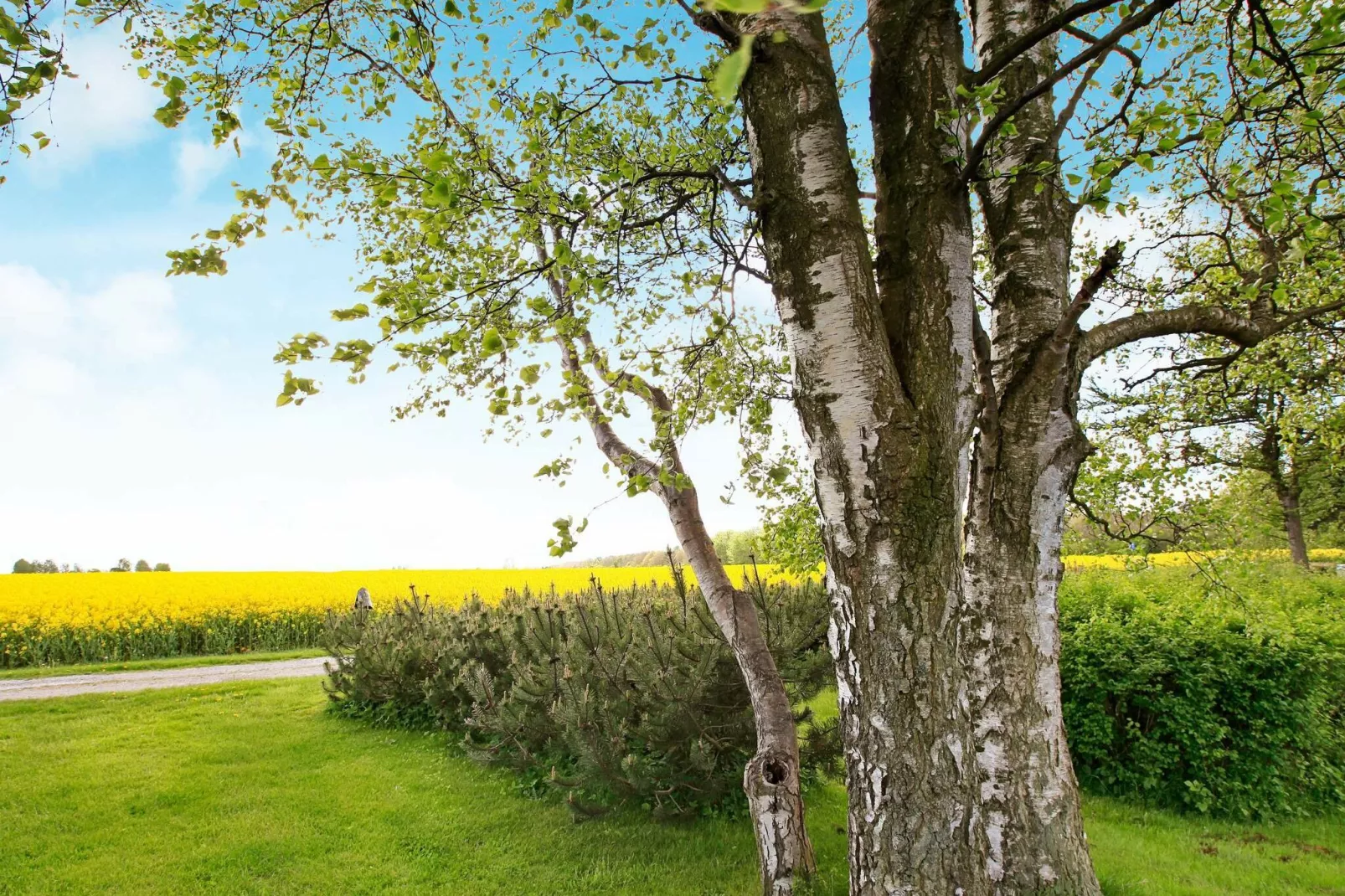 4 persoons vakantie huis in Otterup-By Traum-Uitzicht