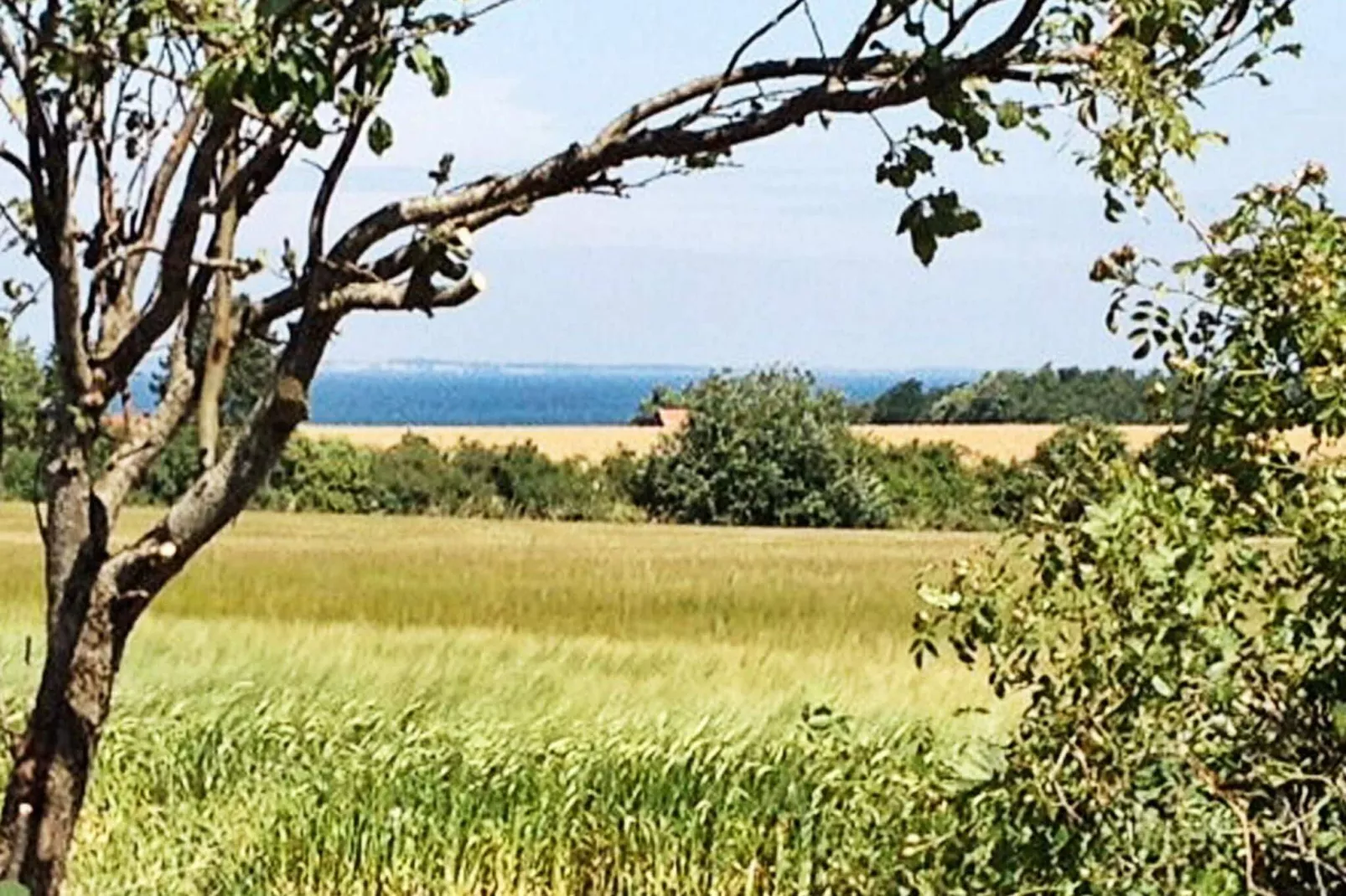 22 persoons vakantie huis in Bogense-Uitzicht