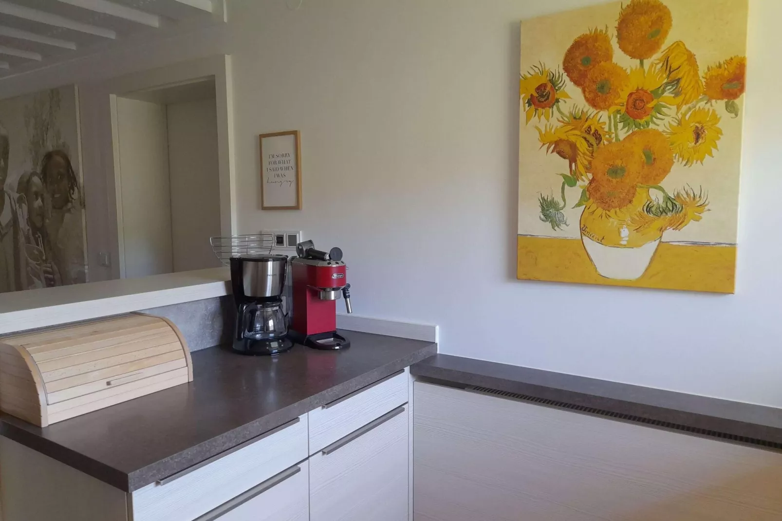 Mountain-View Appartement with Garden inkl Hochkönigcard-Keuken